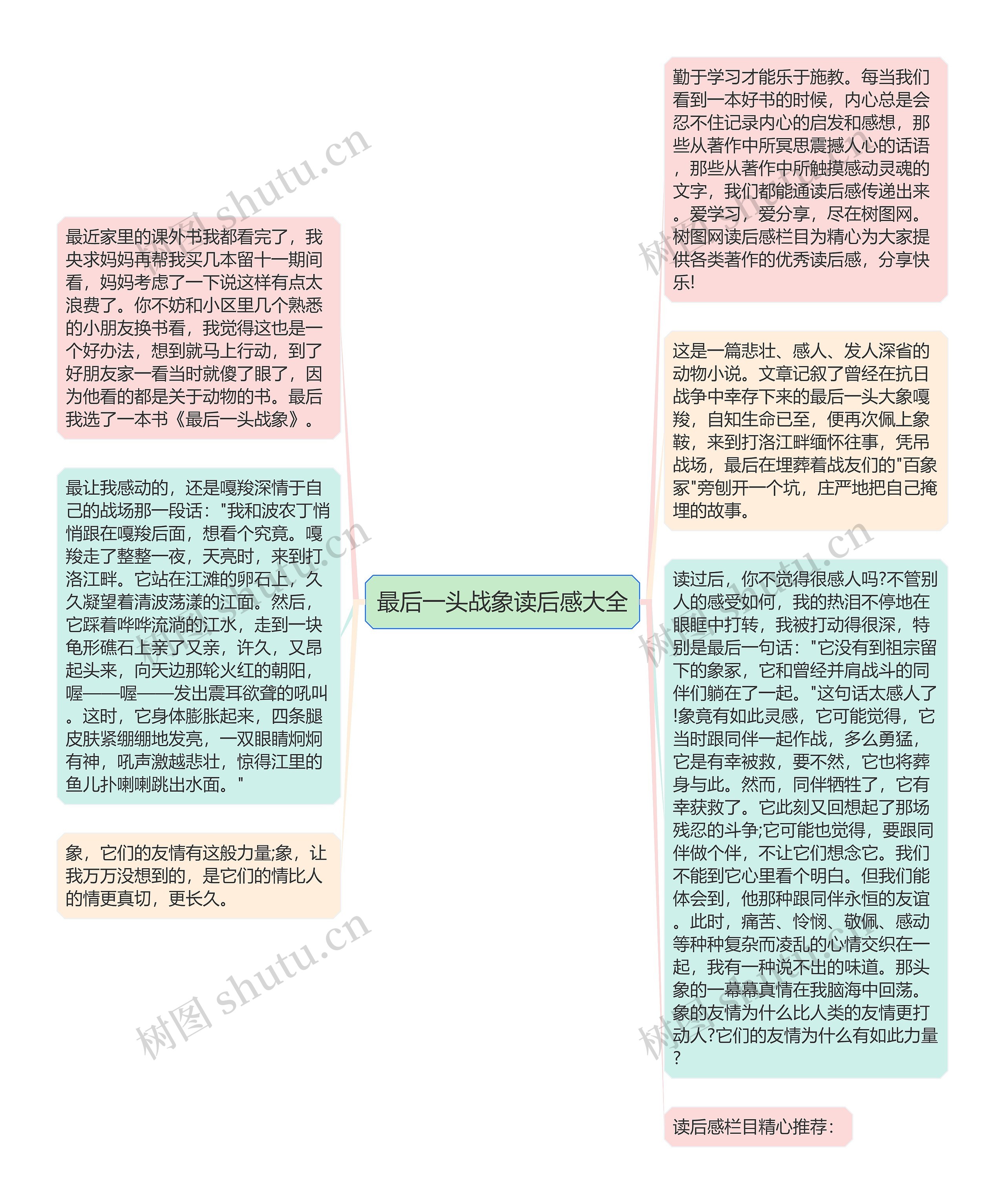 最后一头战象读后感大全思维导图