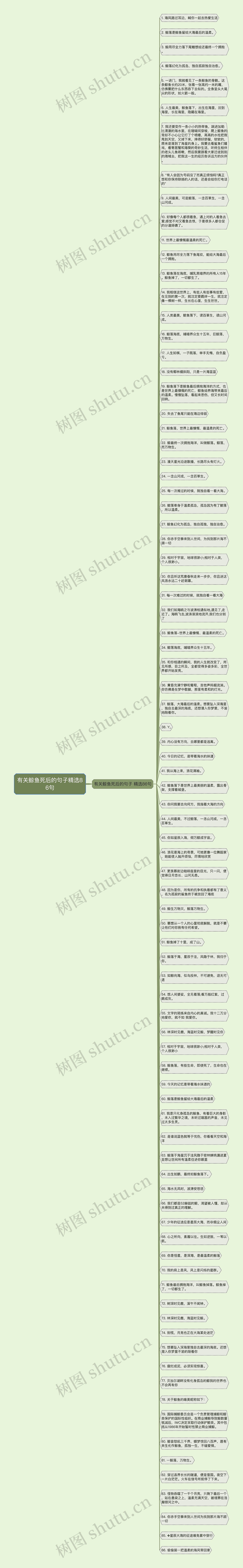 有关鲸鱼死后的句子精选86句