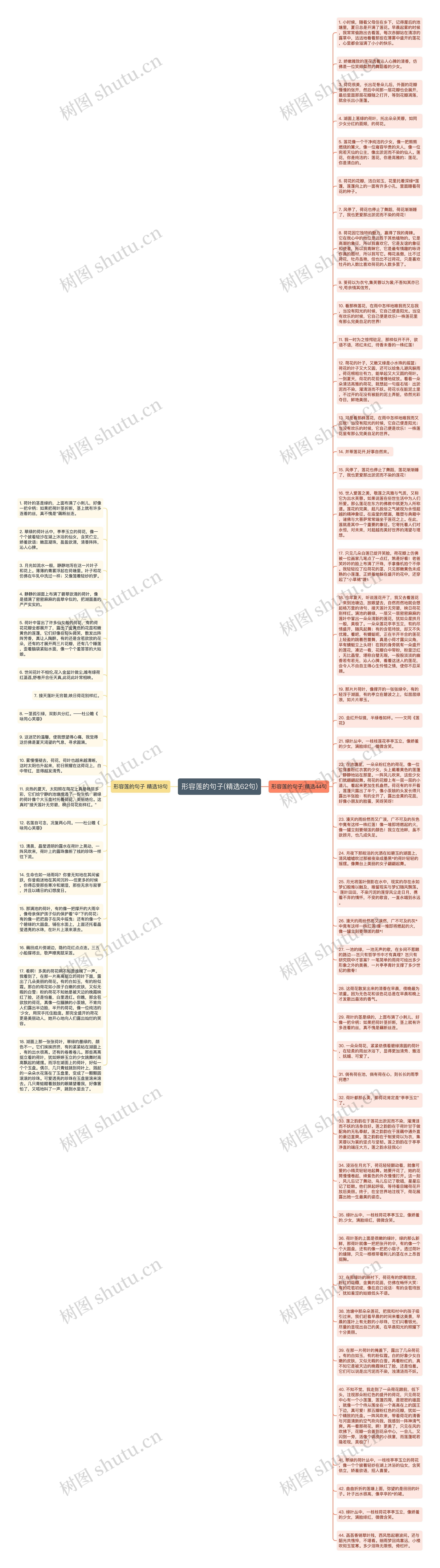 形容莲的句子(精选62句)思维导图