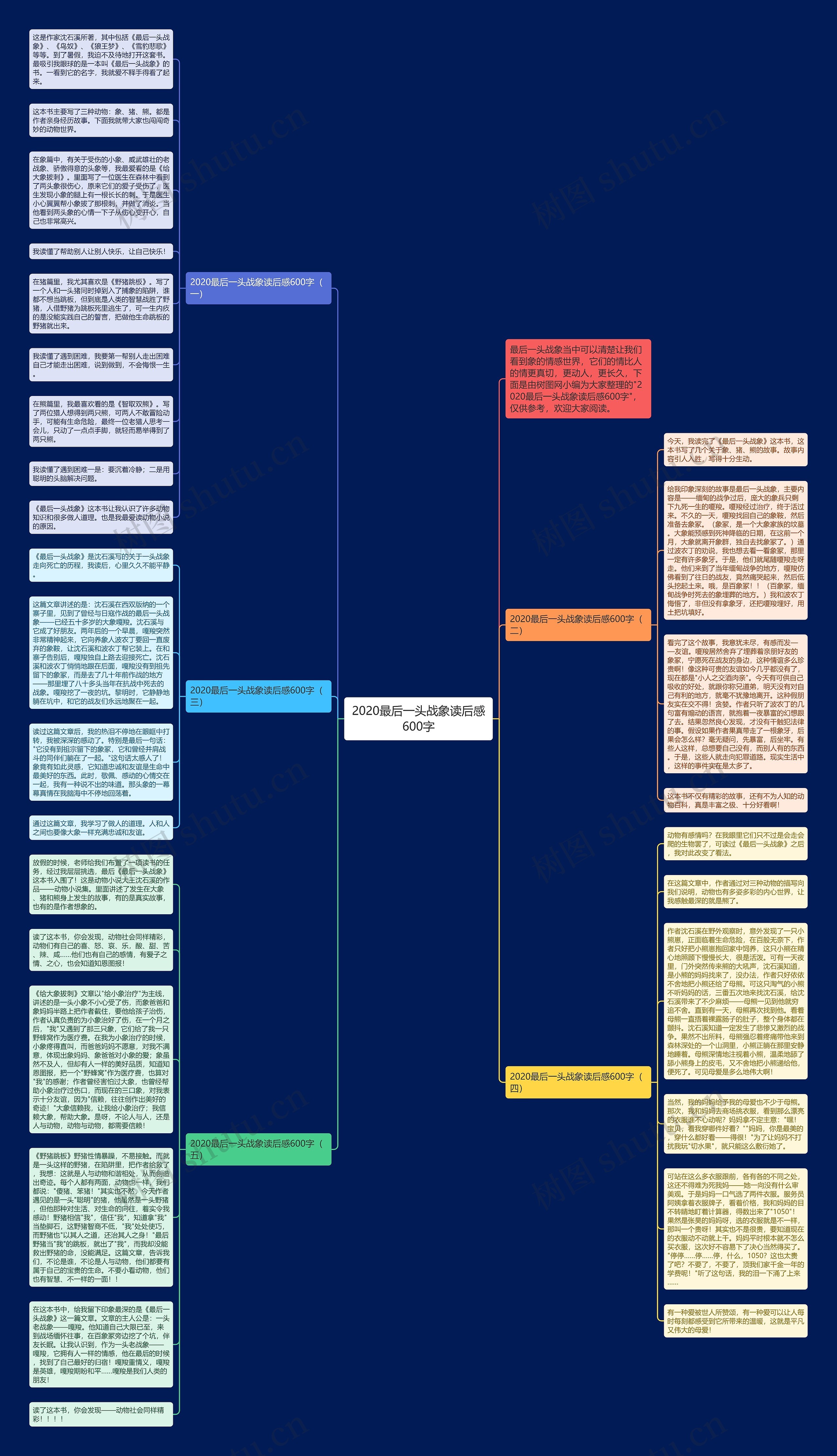 2020最后一头战象读后感600字思维导图