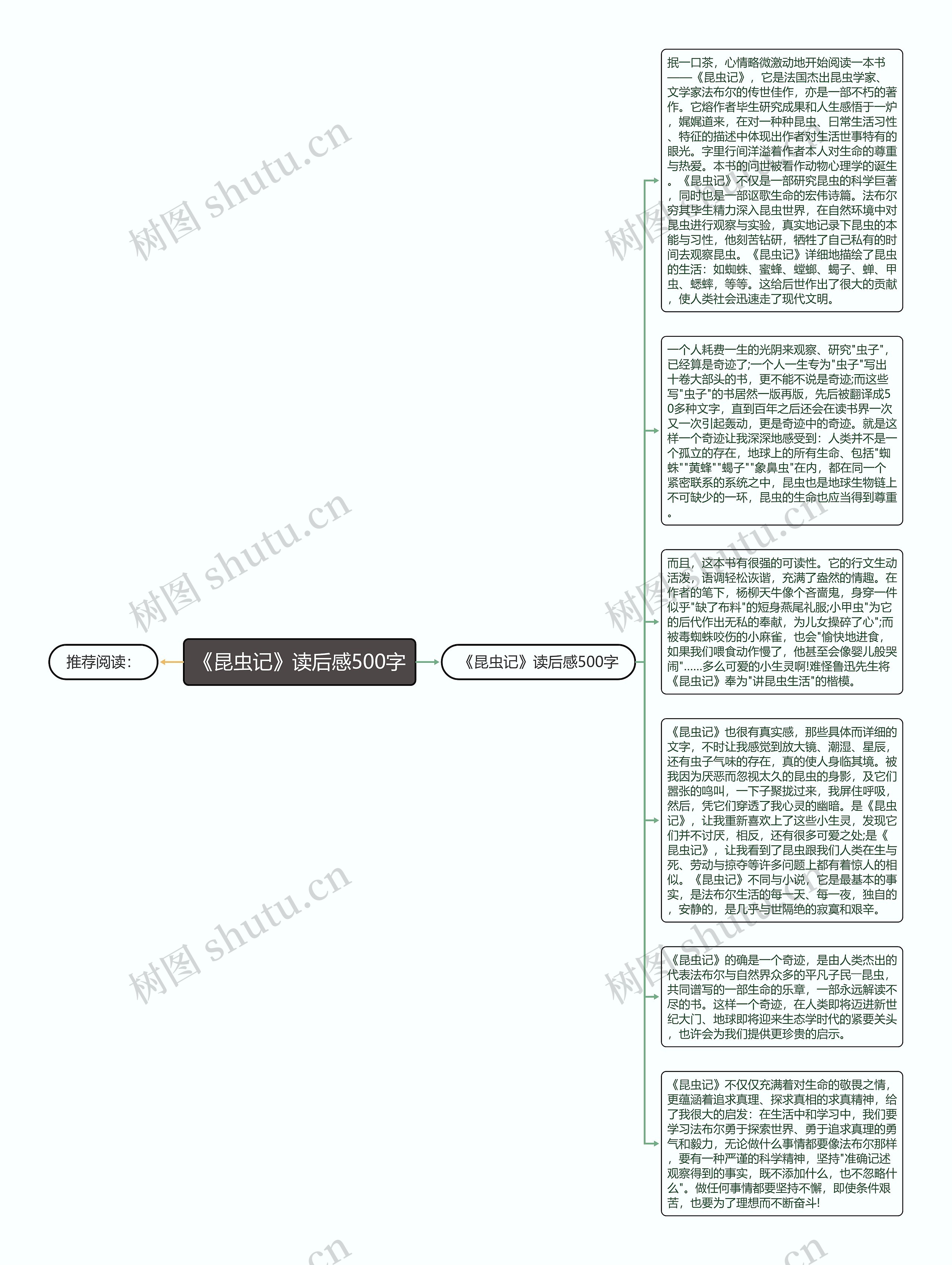 《昆虫记》读后感500字思维导图