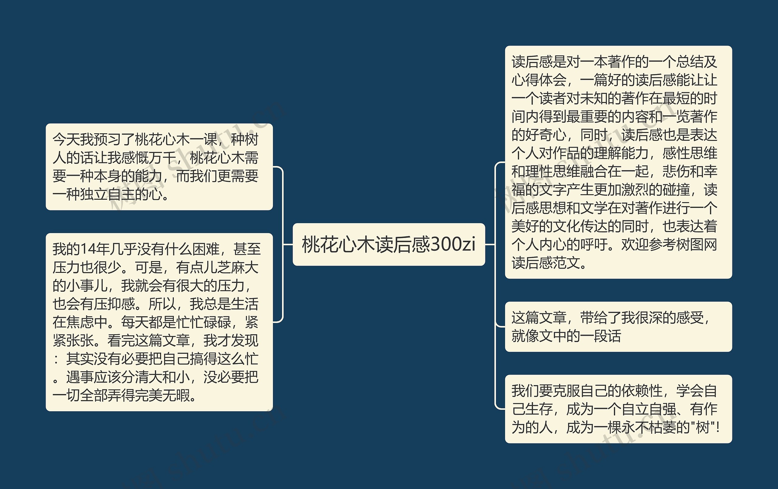 桃花心木读后感300zi思维导图