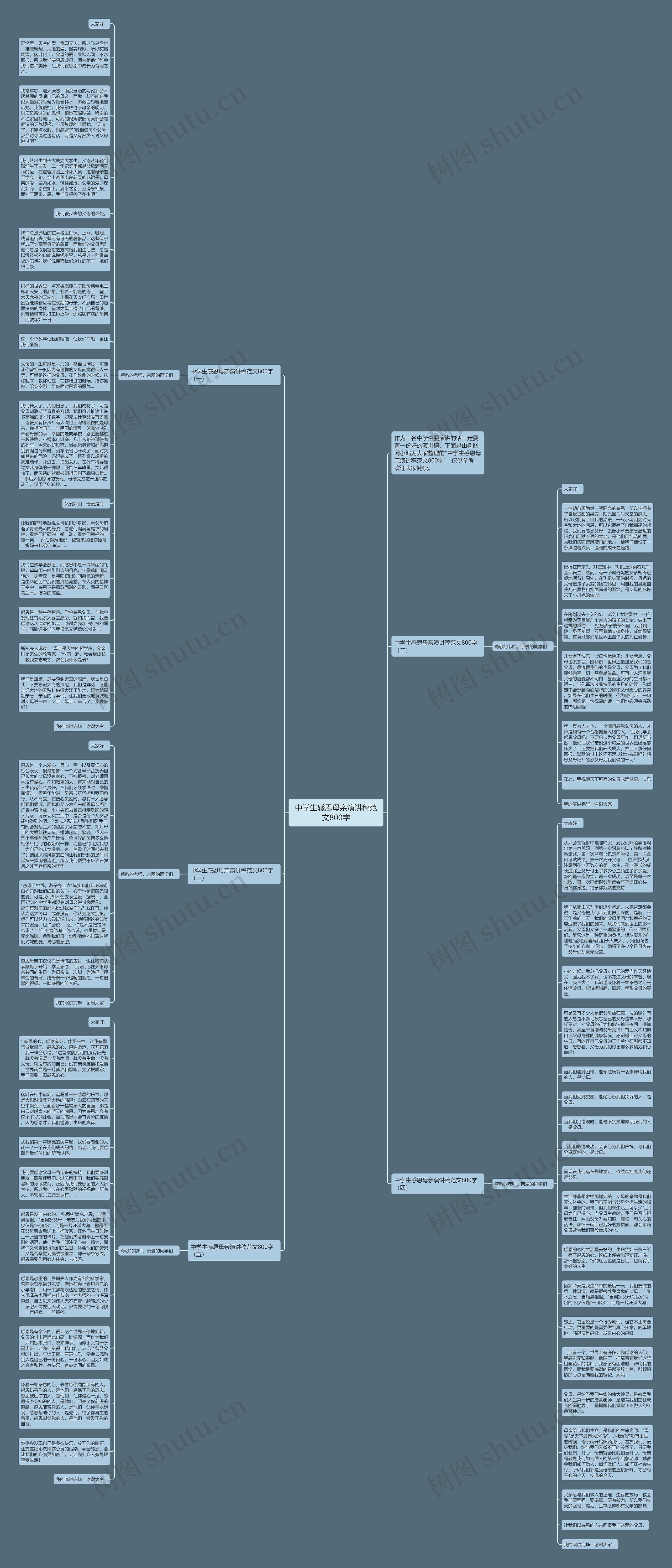 中学生感恩母亲演讲稿范文800字思维导图
