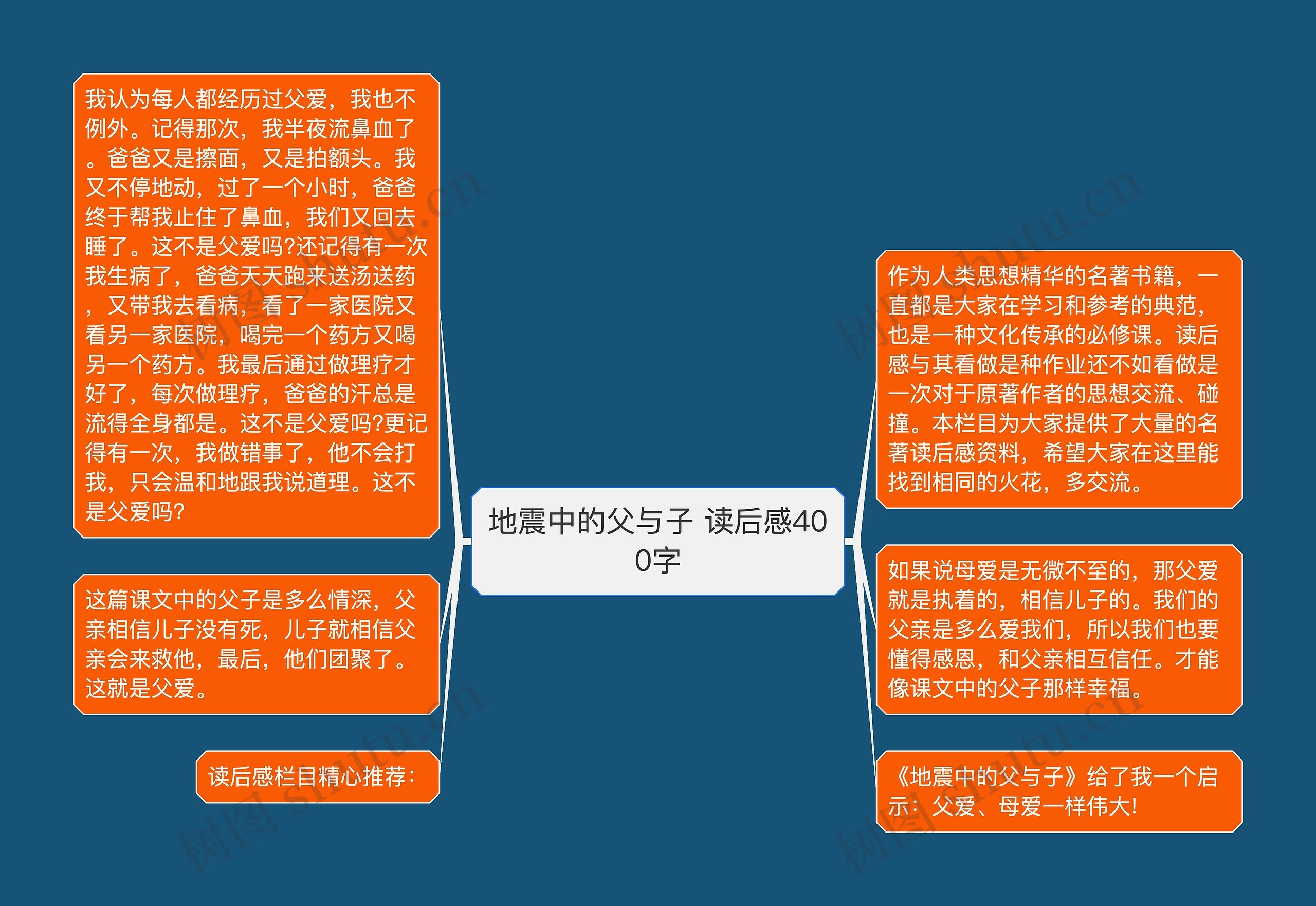 地震中的父与子 读后感400字