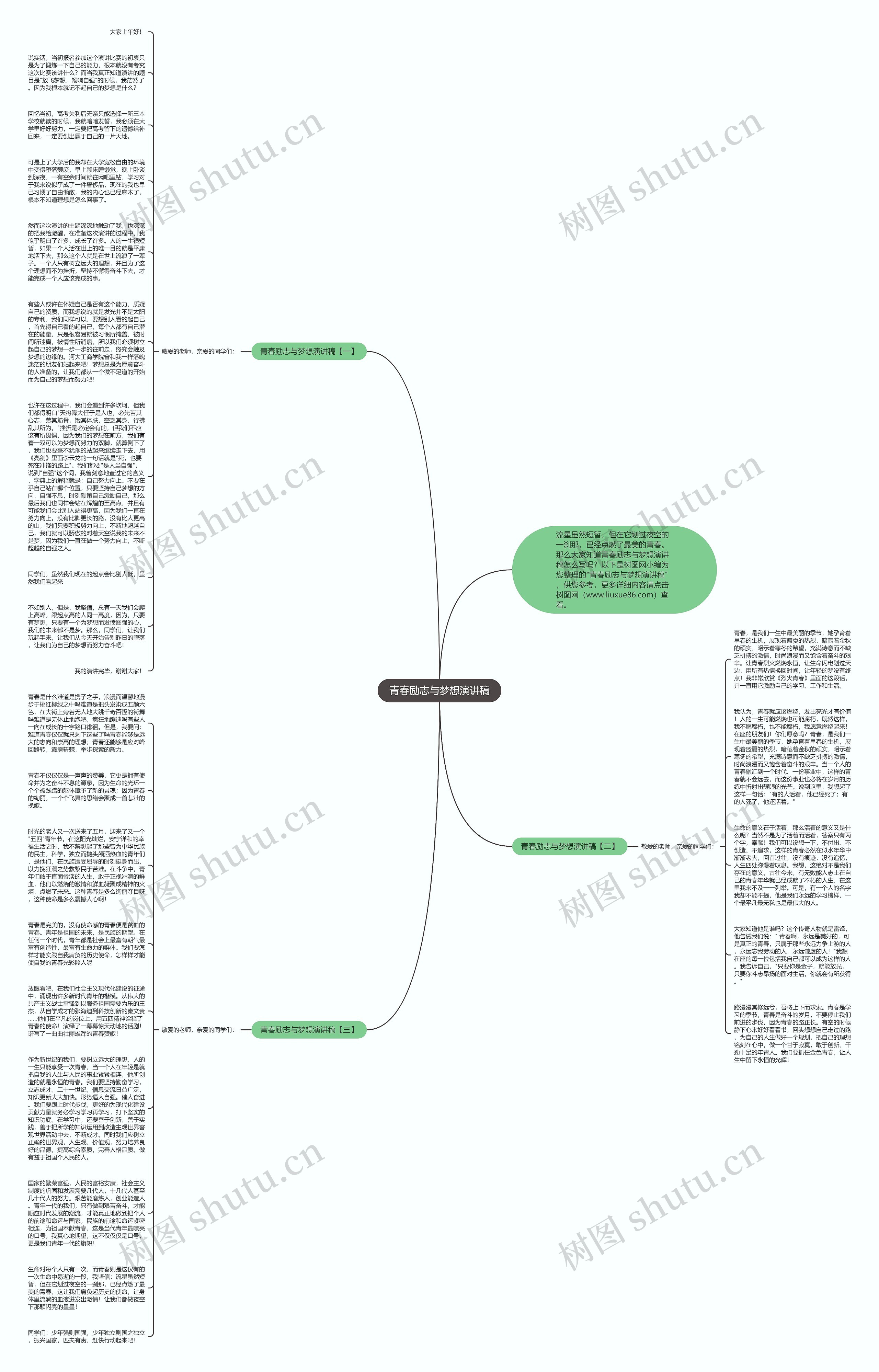 青春励志与梦想演讲稿思维导图