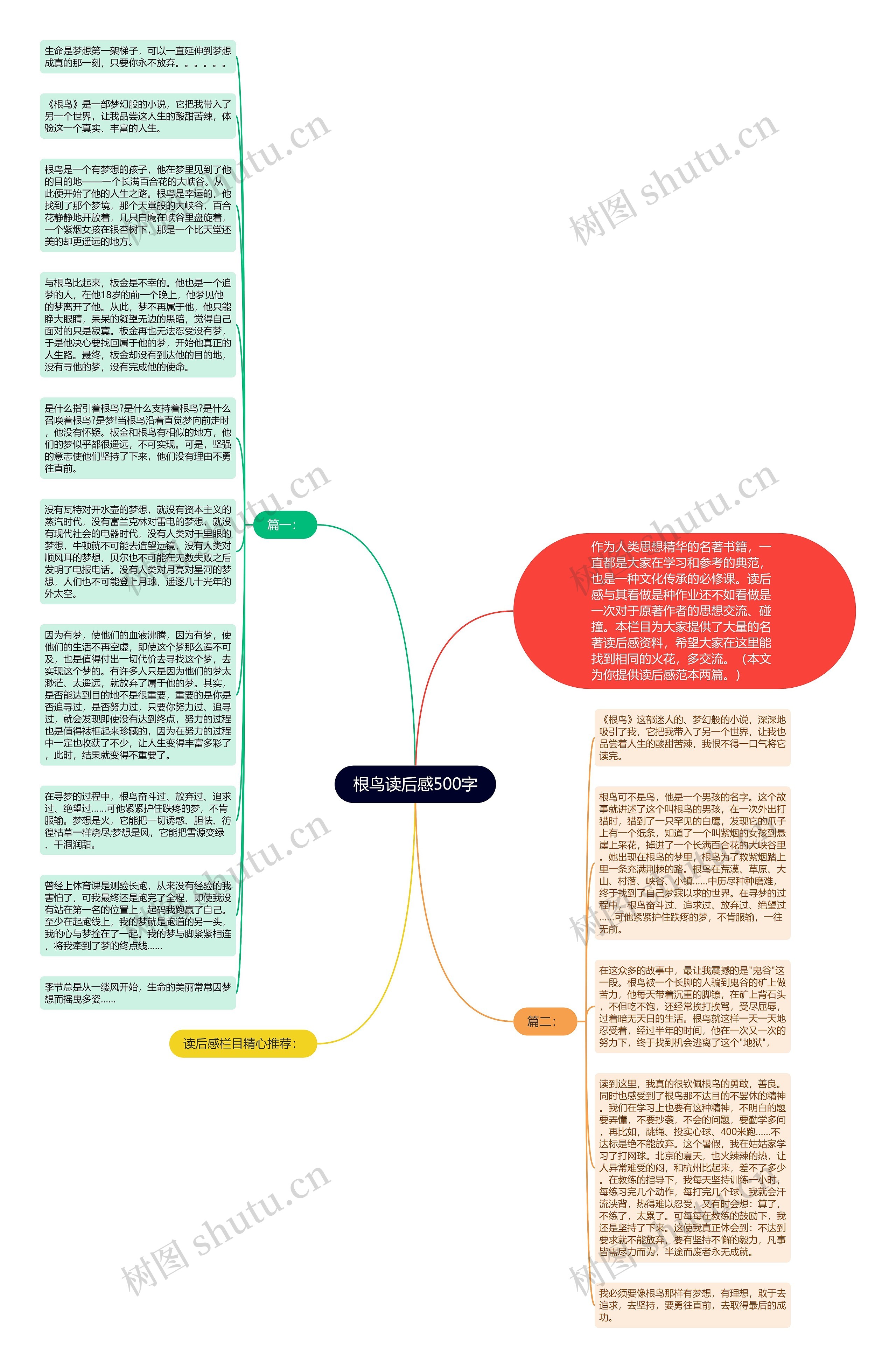 根鸟读后感500字思维导图