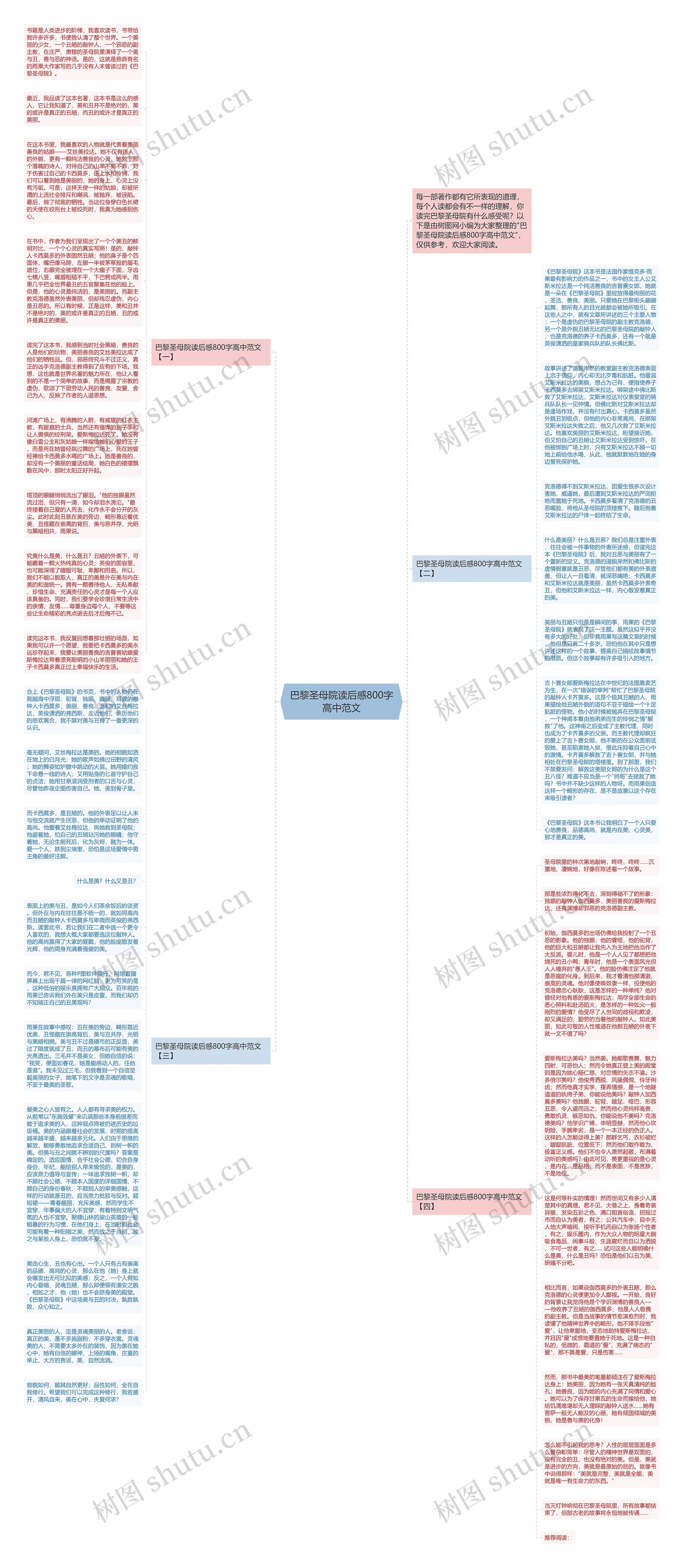 巴黎圣母院读后感800字高中范文思维导图