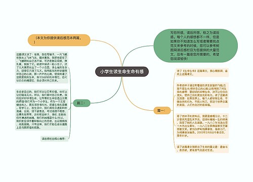 小学生读生命生命有感