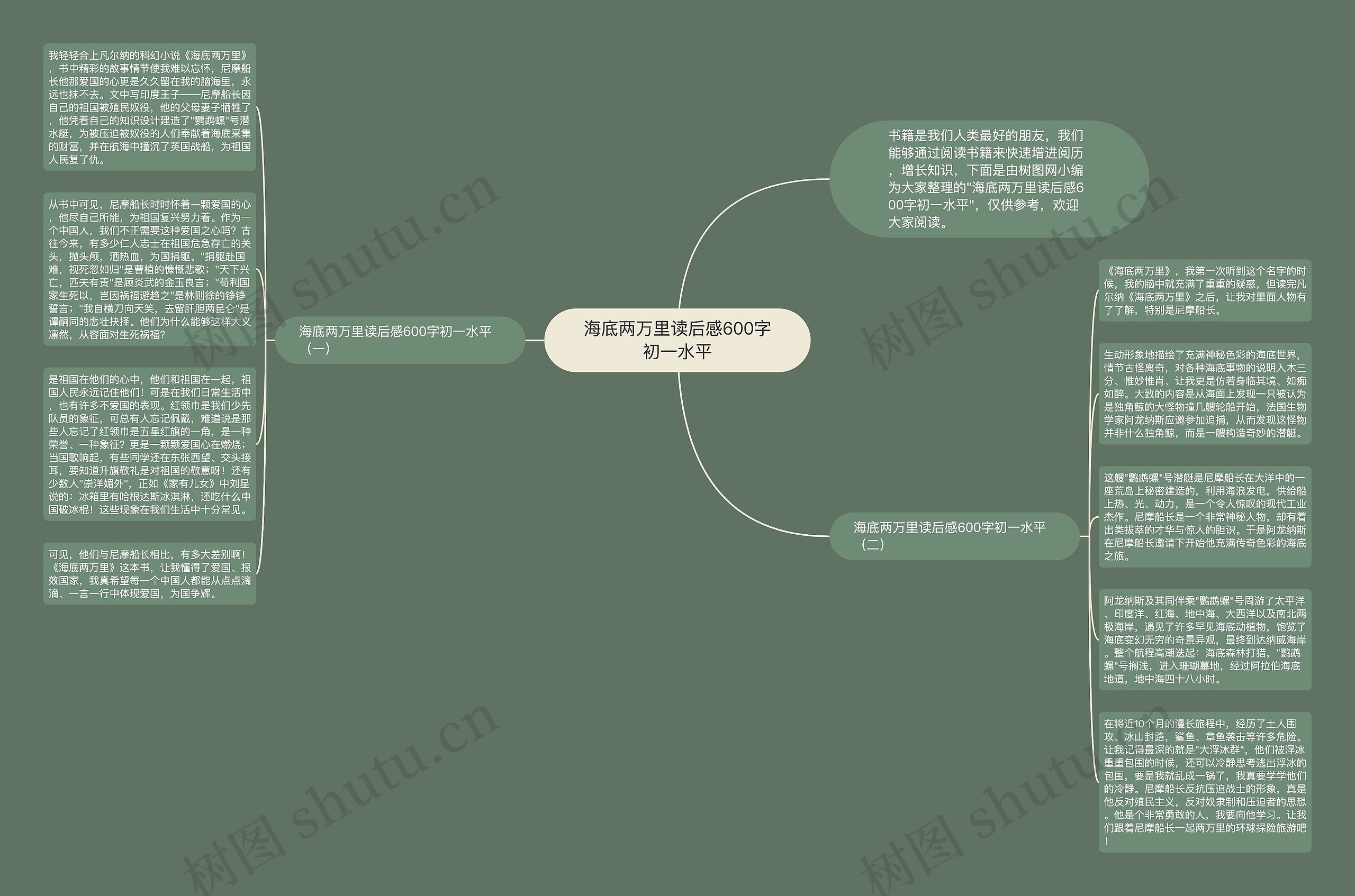 海底两万里读后感600字初一水平思维导图