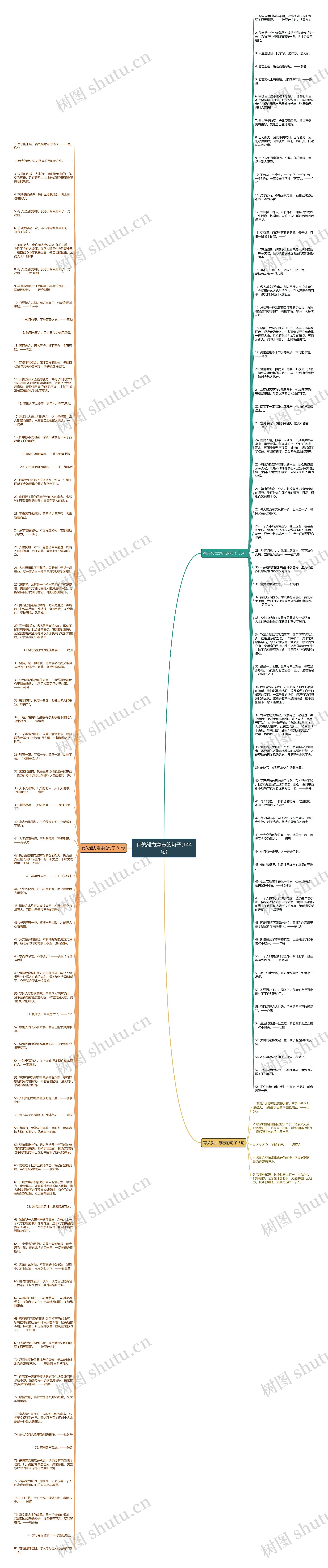 有关毅力意志的句子(144句)思维导图
