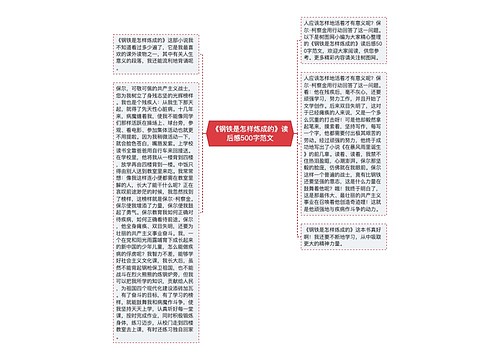 《钢铁是怎样炼成的》读后感500字范文