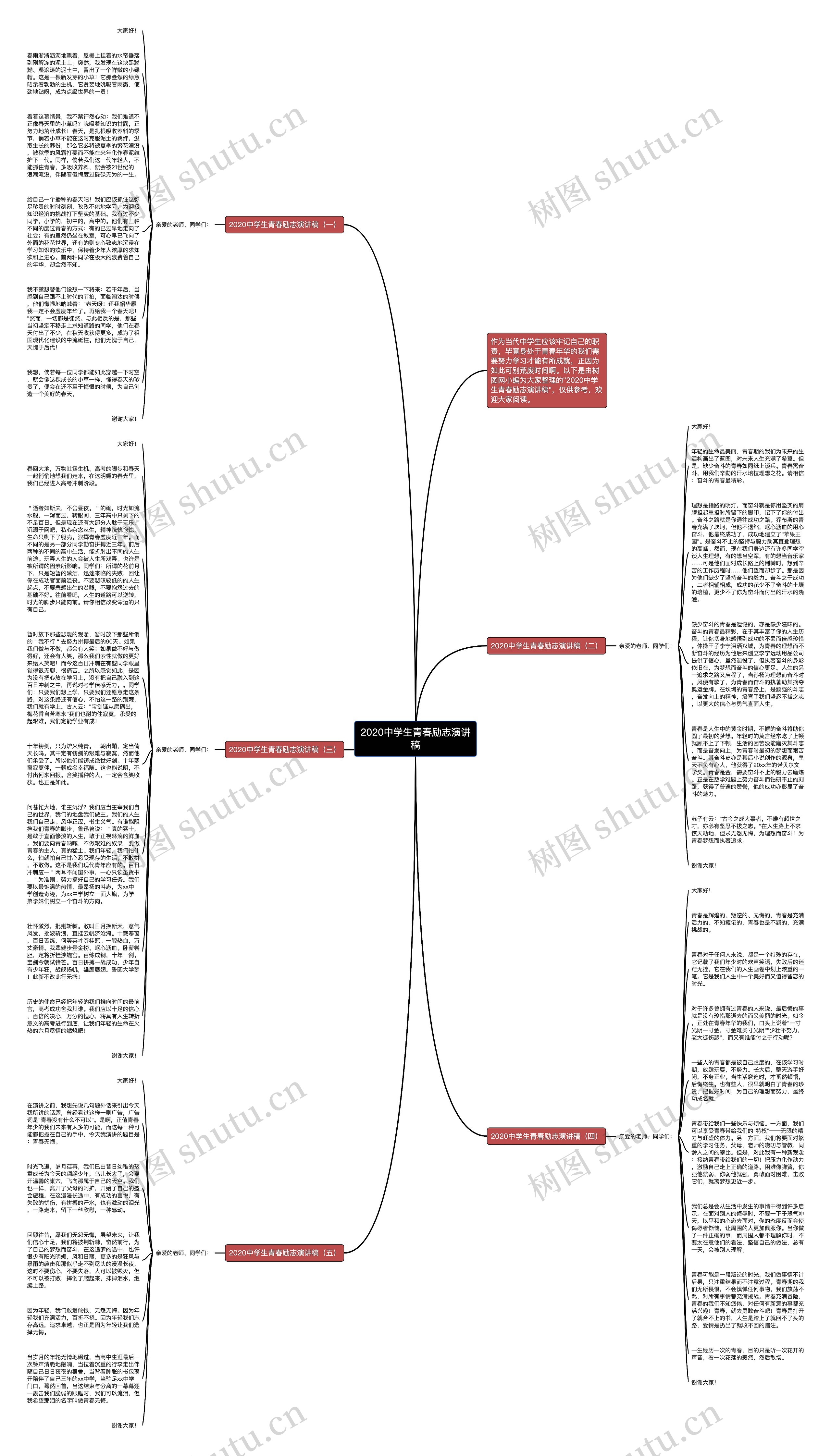 2020中学生青春励志演讲稿思维导图