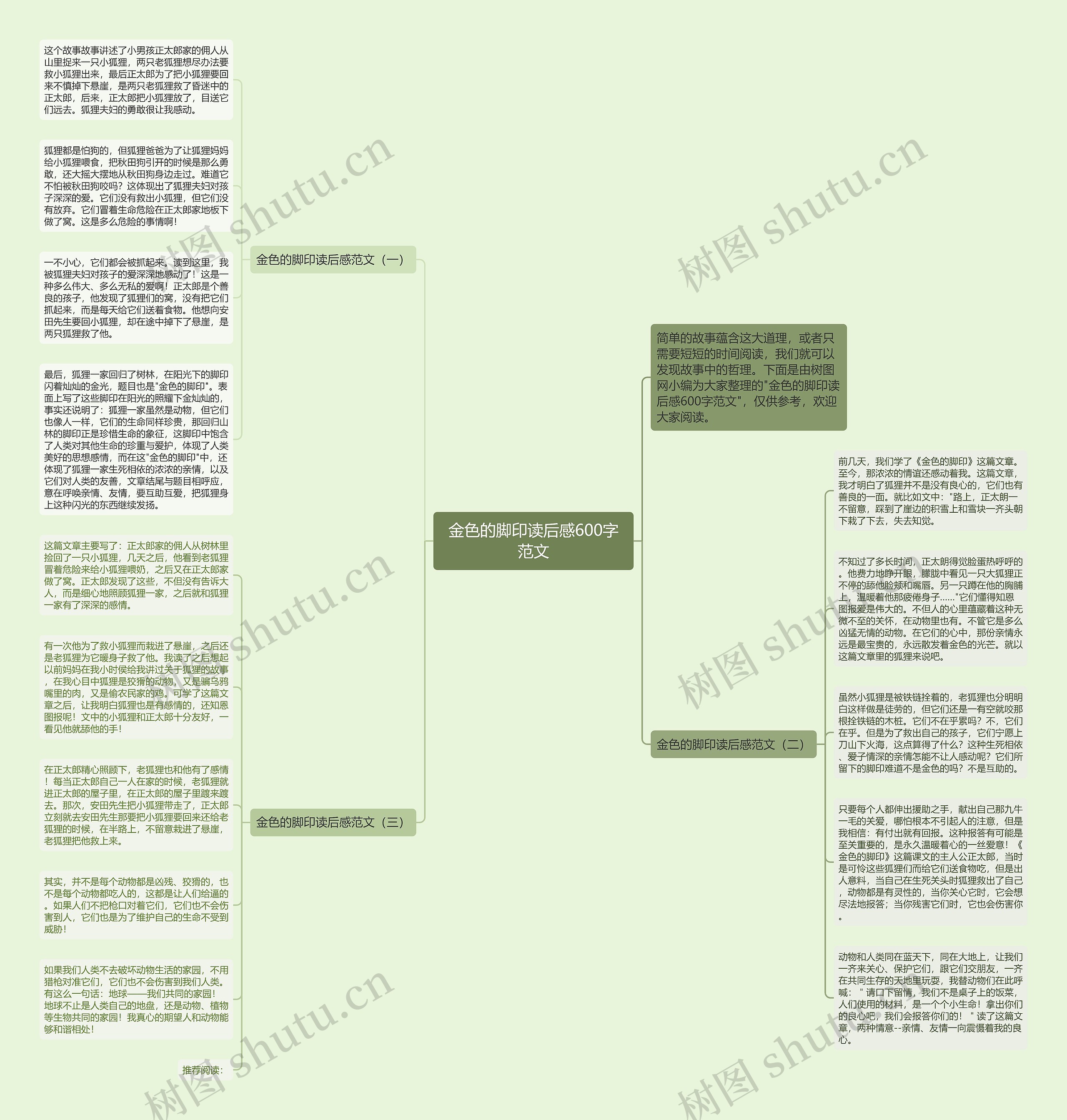 金色的脚印读后感600字范文思维导图