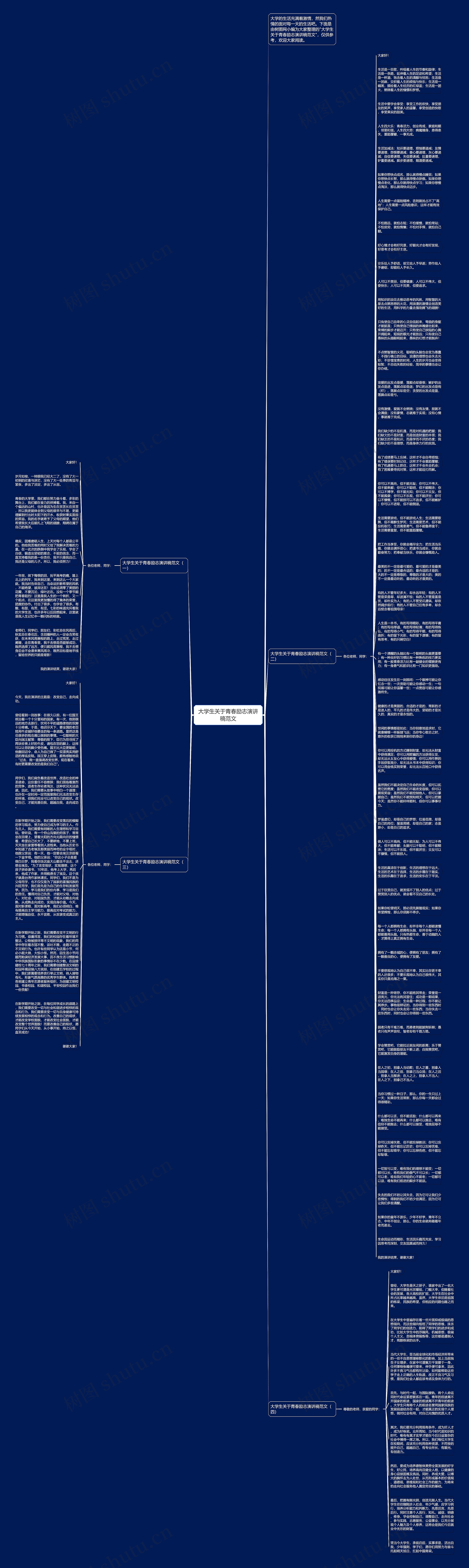 大学生关于青春励志演讲稿范文思维导图