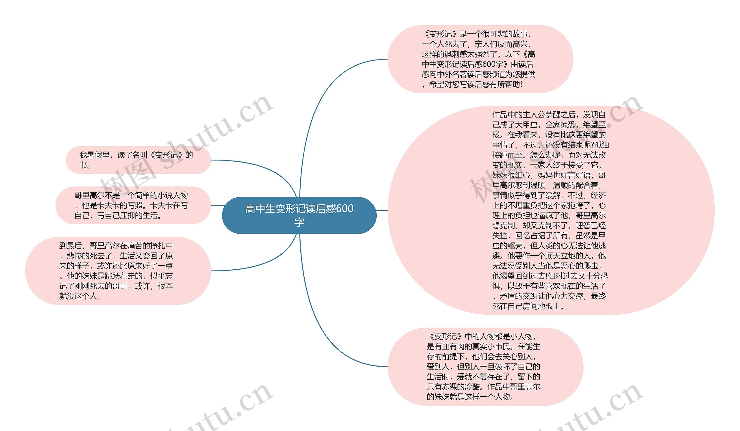 高中生变形记读后感600字思维导图