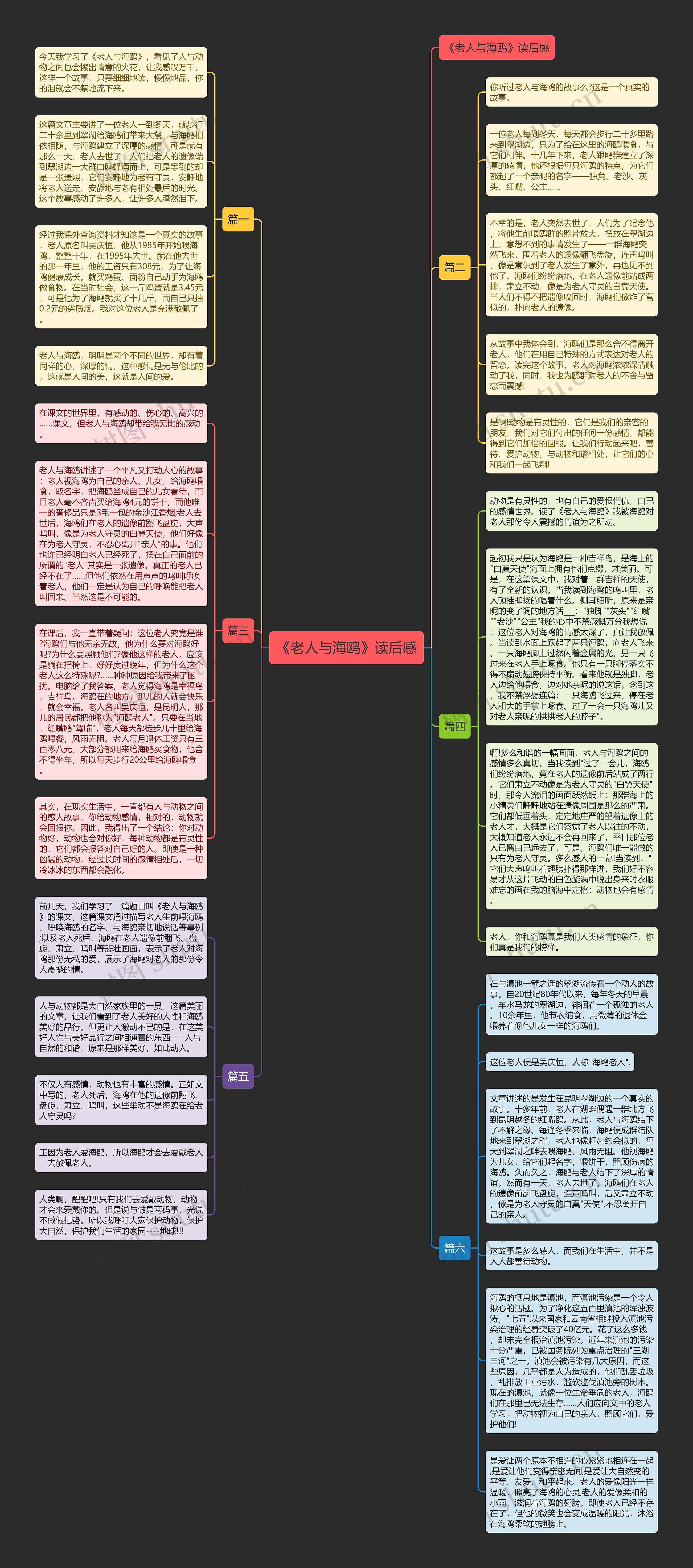 《老人与海鸥》读后感