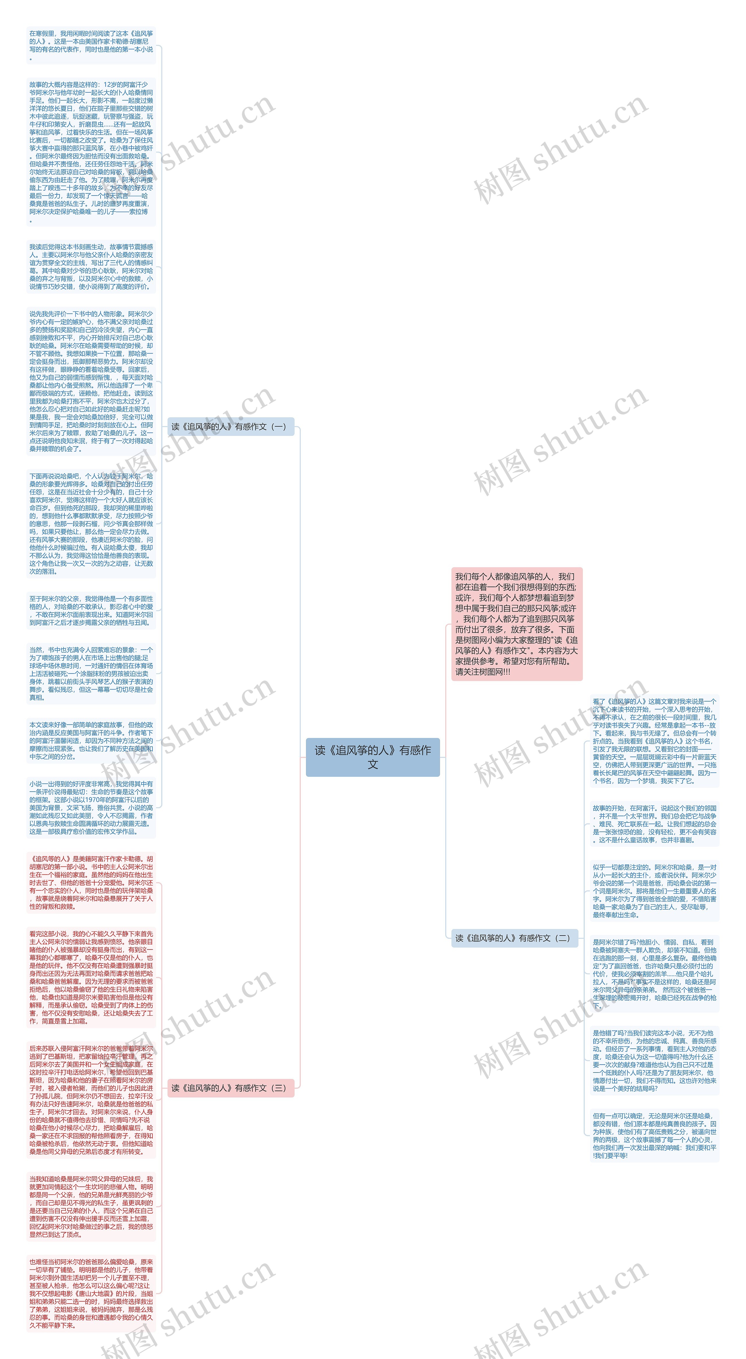 读《追风筝的人》有感作文思维导图