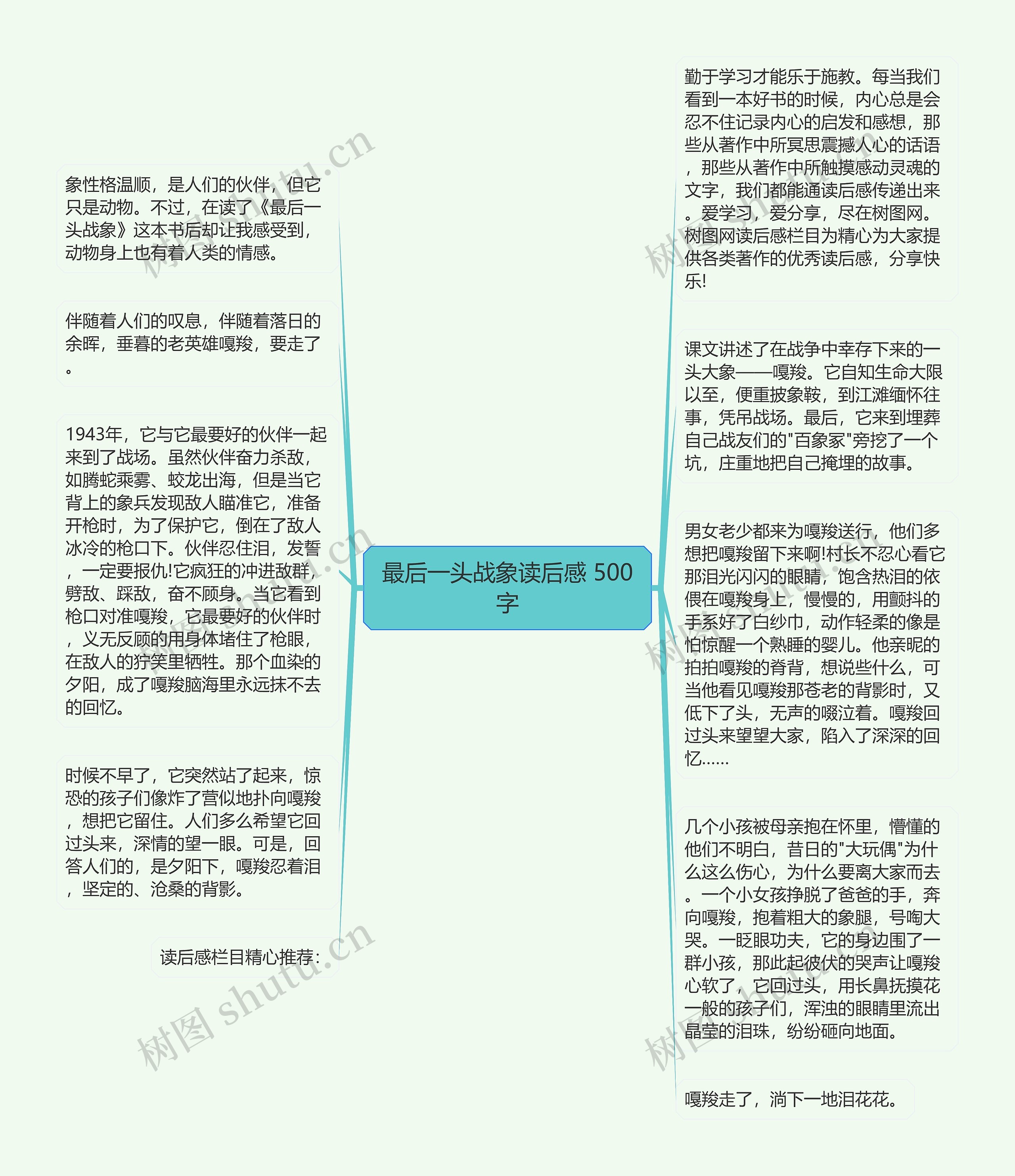 最后一头战象读后感 500字思维导图