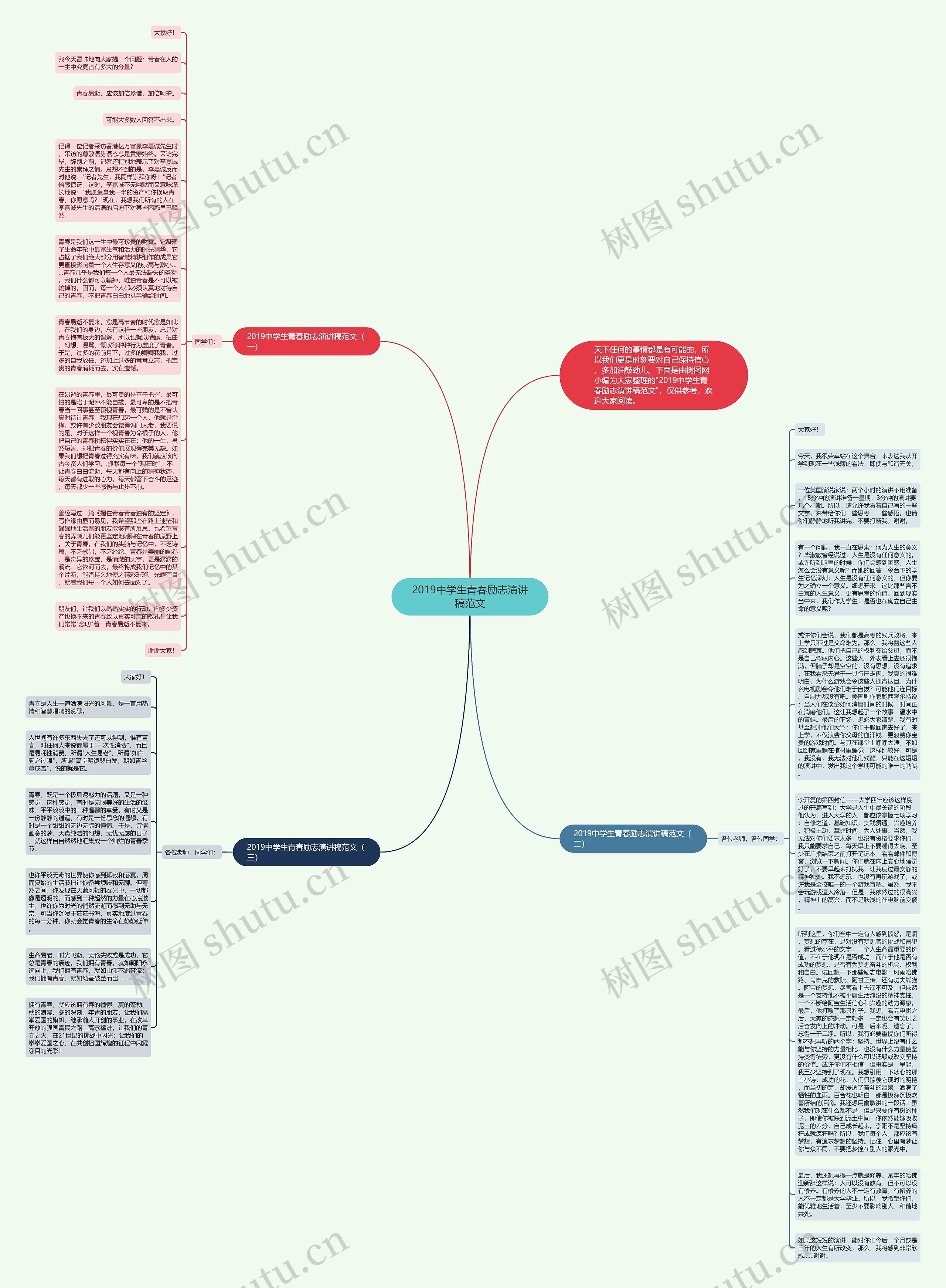 2019中学生青春励志演讲稿范文思维导图