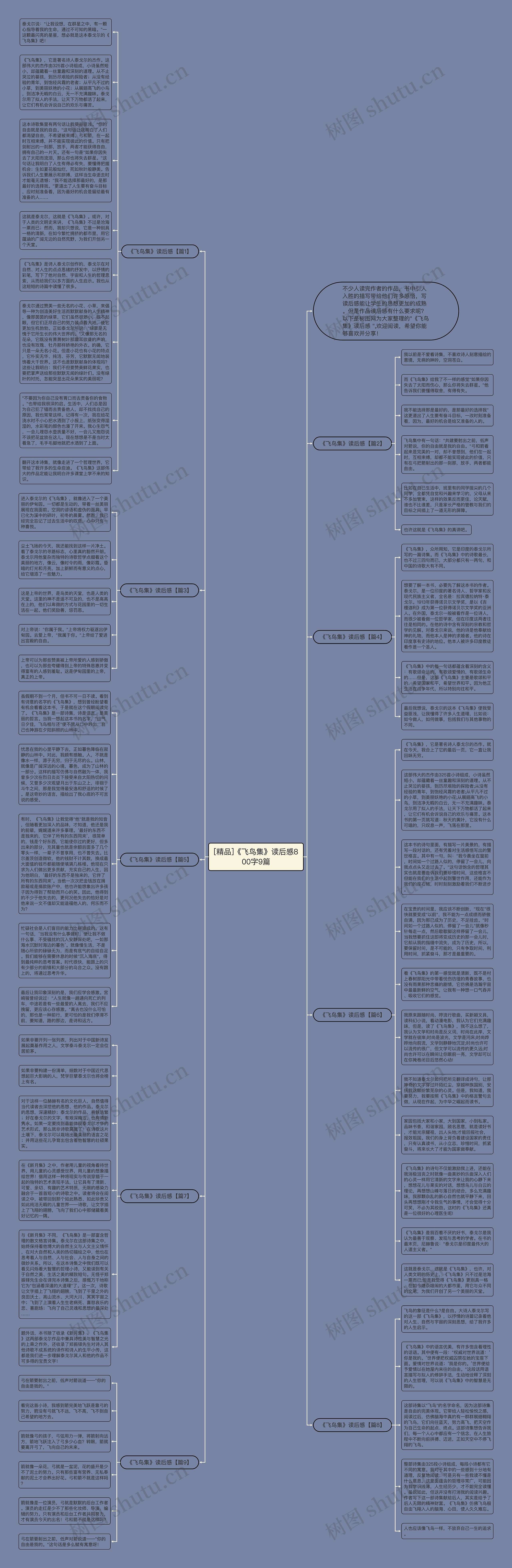 [精品]《飞鸟集》读后感800字9篇思维导图