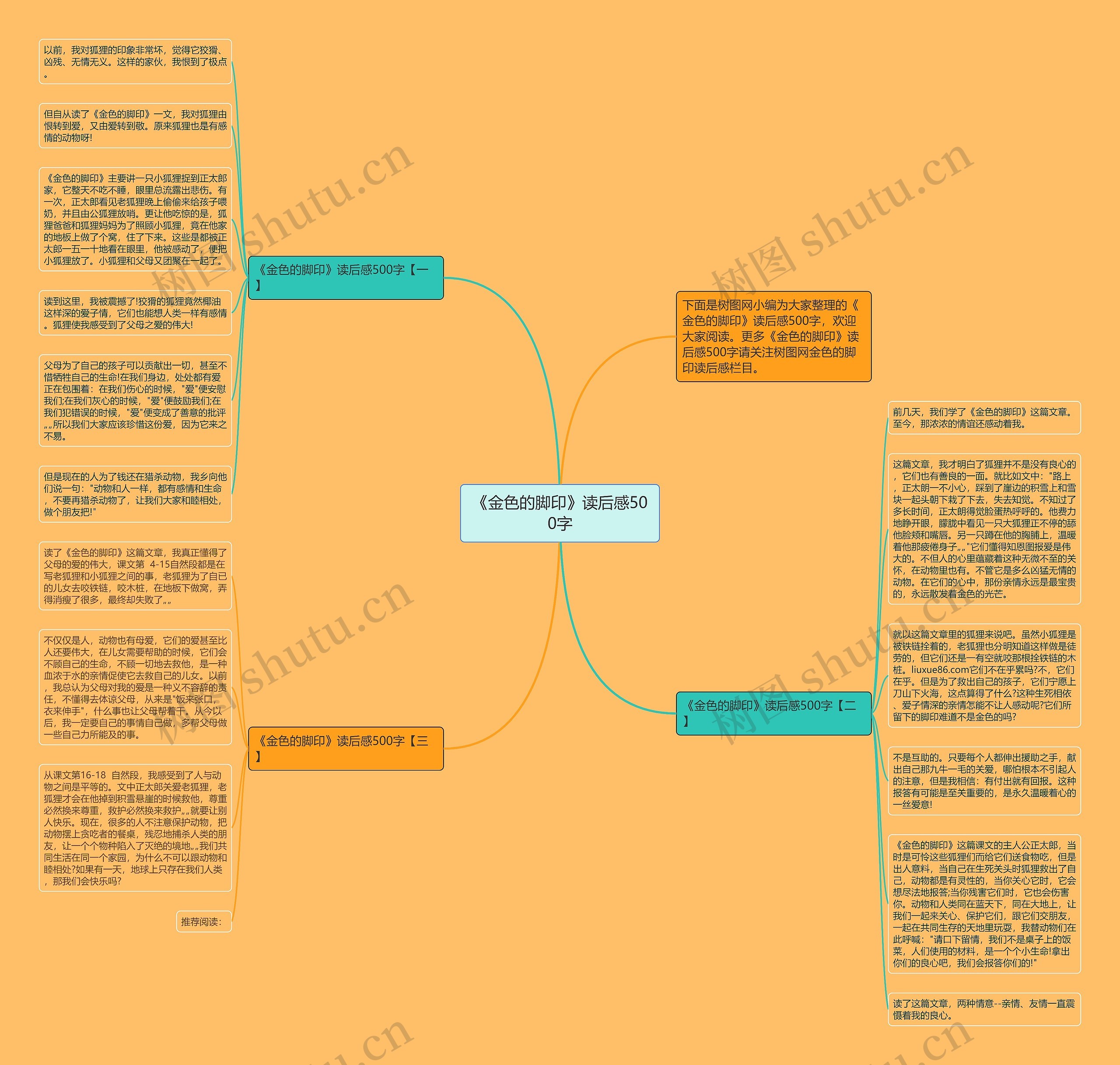 《金色的脚印》读后感500字思维导图