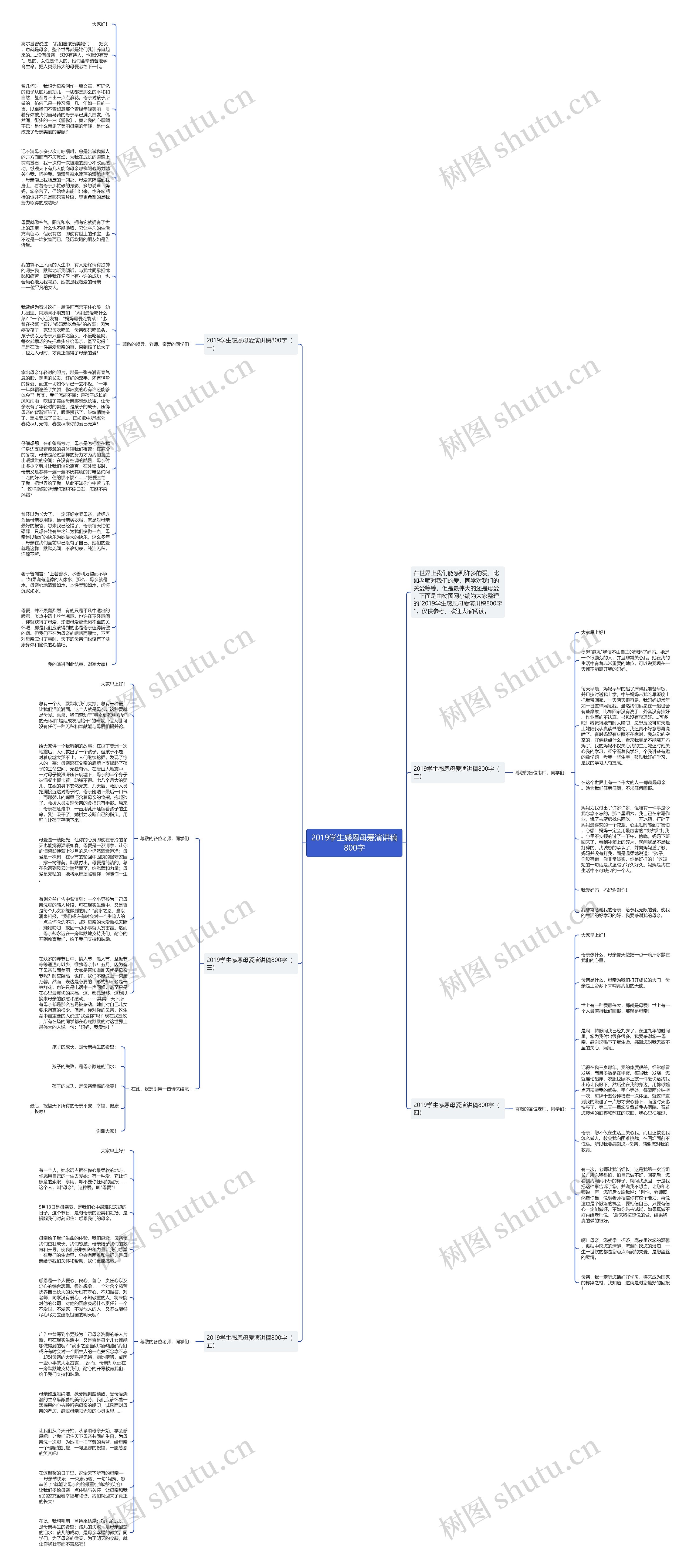 2019学生感恩母爱演讲稿800字思维导图