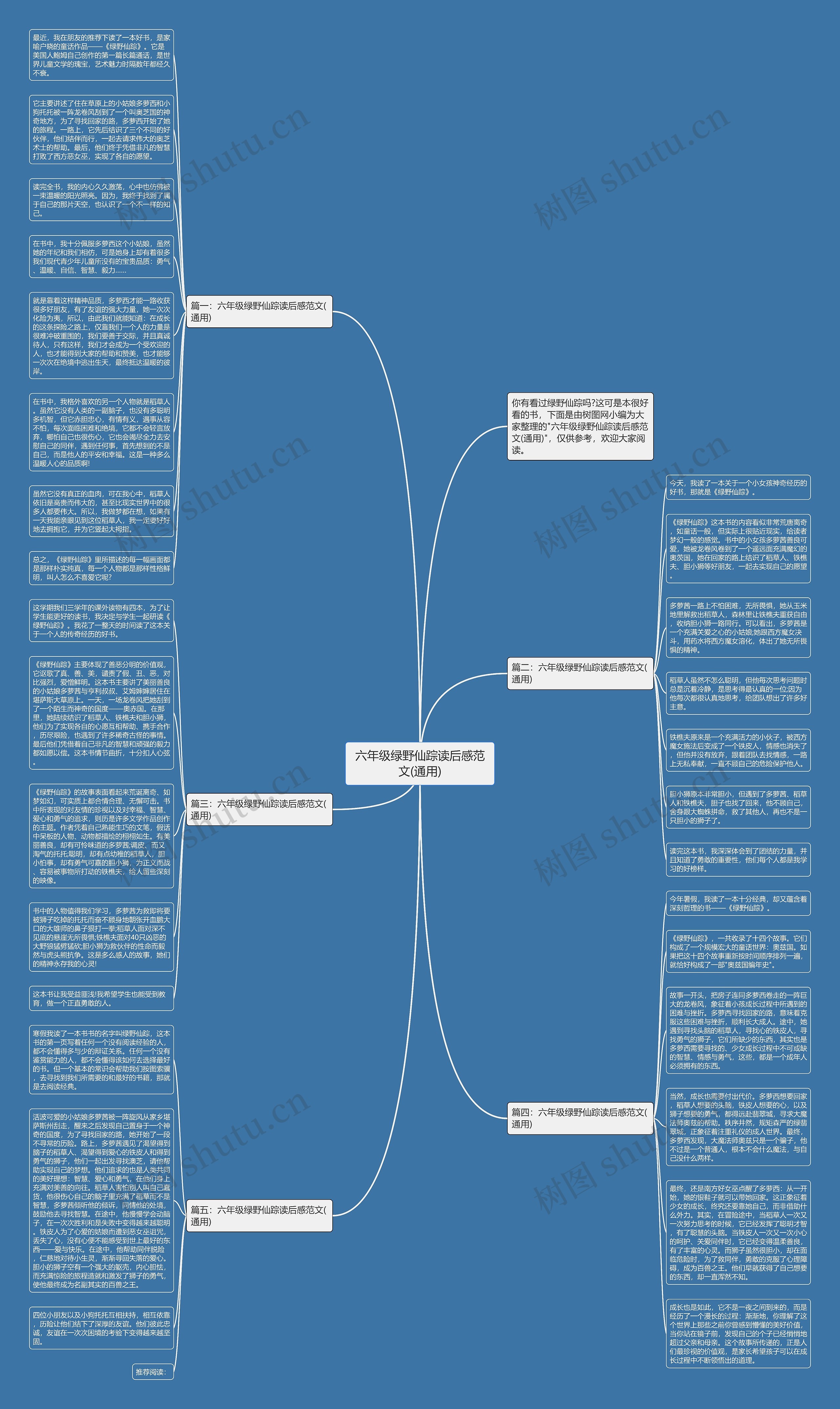 六年级绿野仙踪读后感范文(通用)思维导图