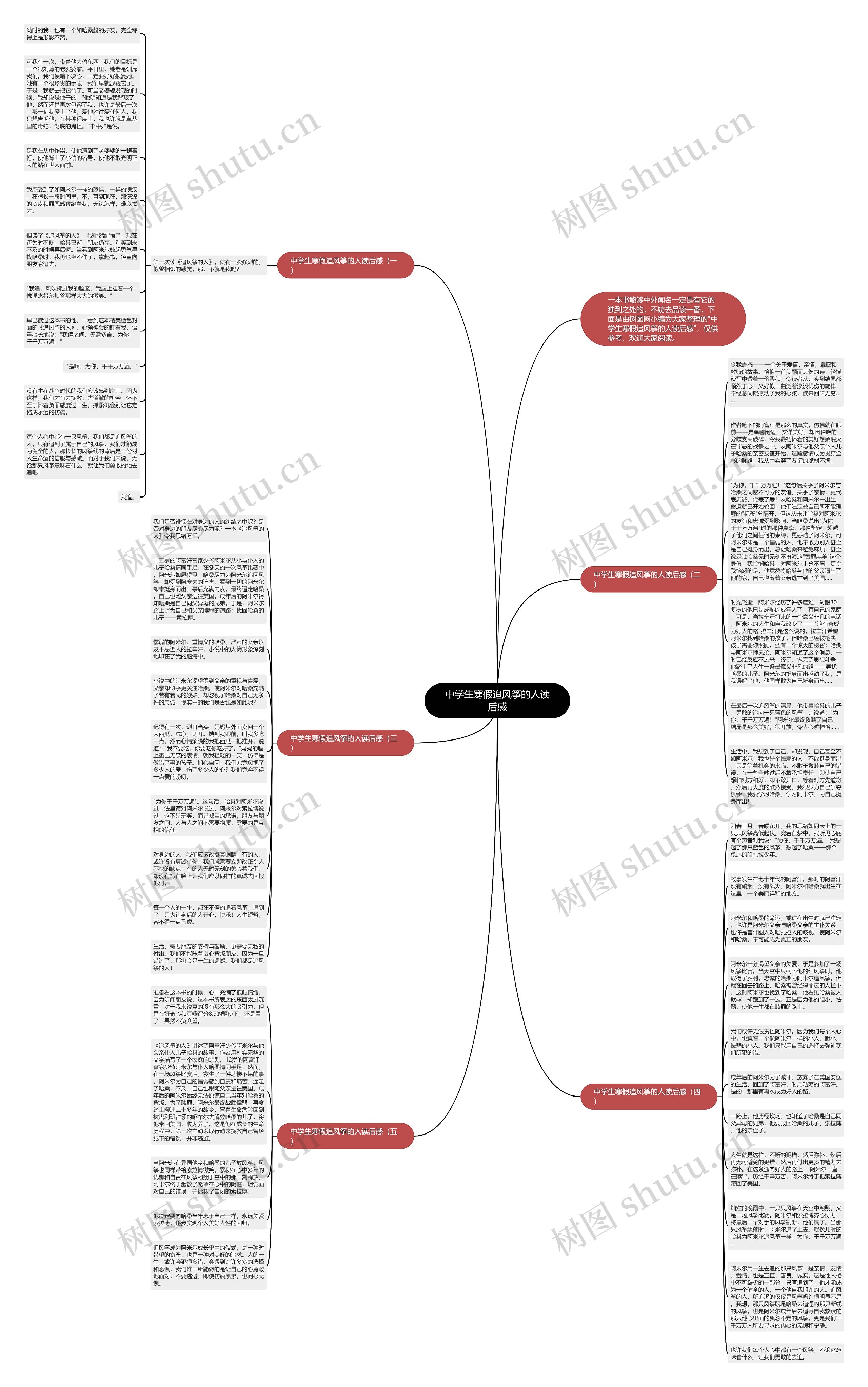 中学生寒假追风筝的人读后感思维导图