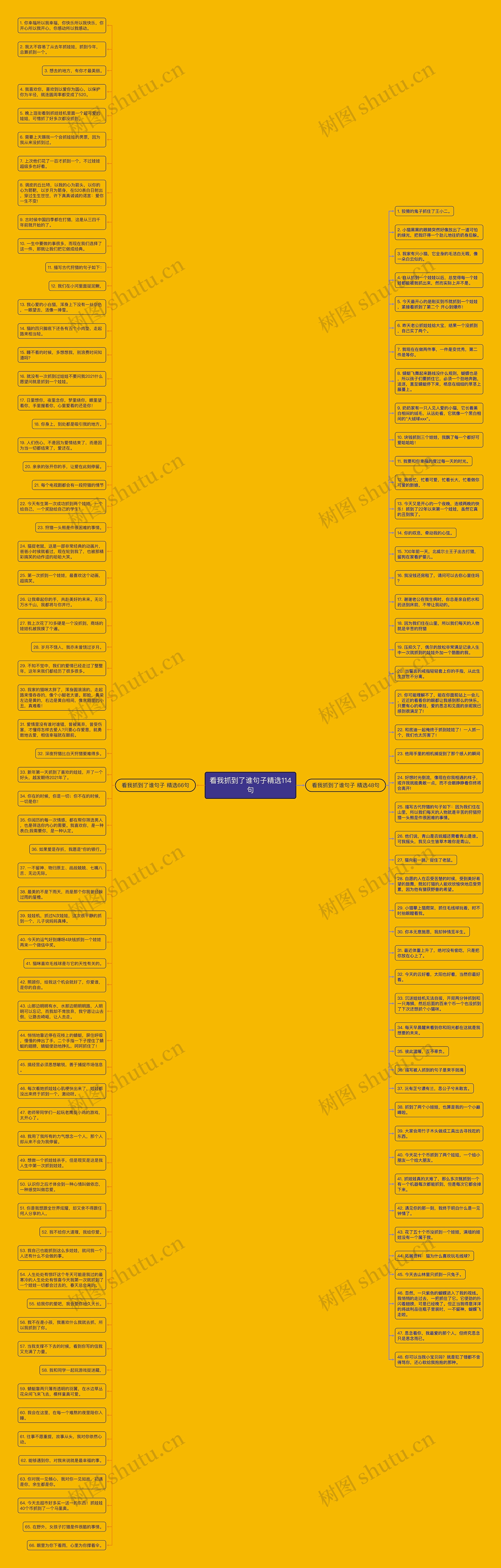 看我抓到了谁句子精选114句思维导图