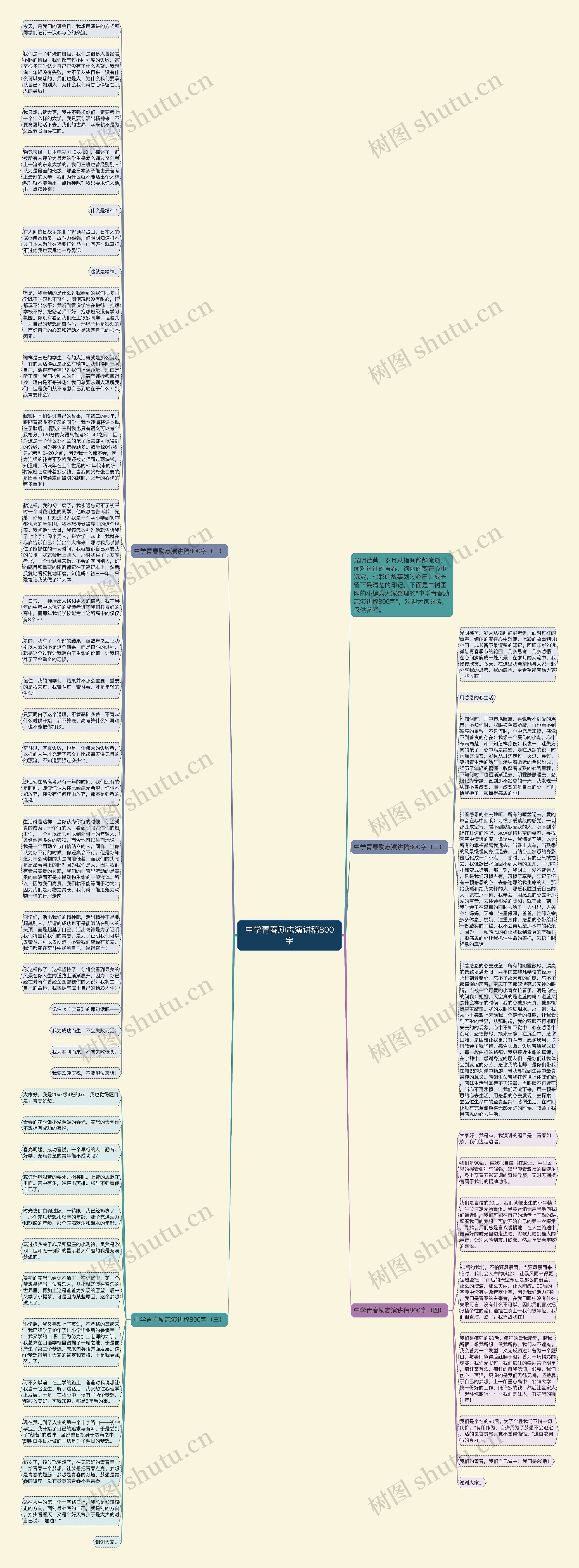 中学青春励志演讲稿800字思维导图