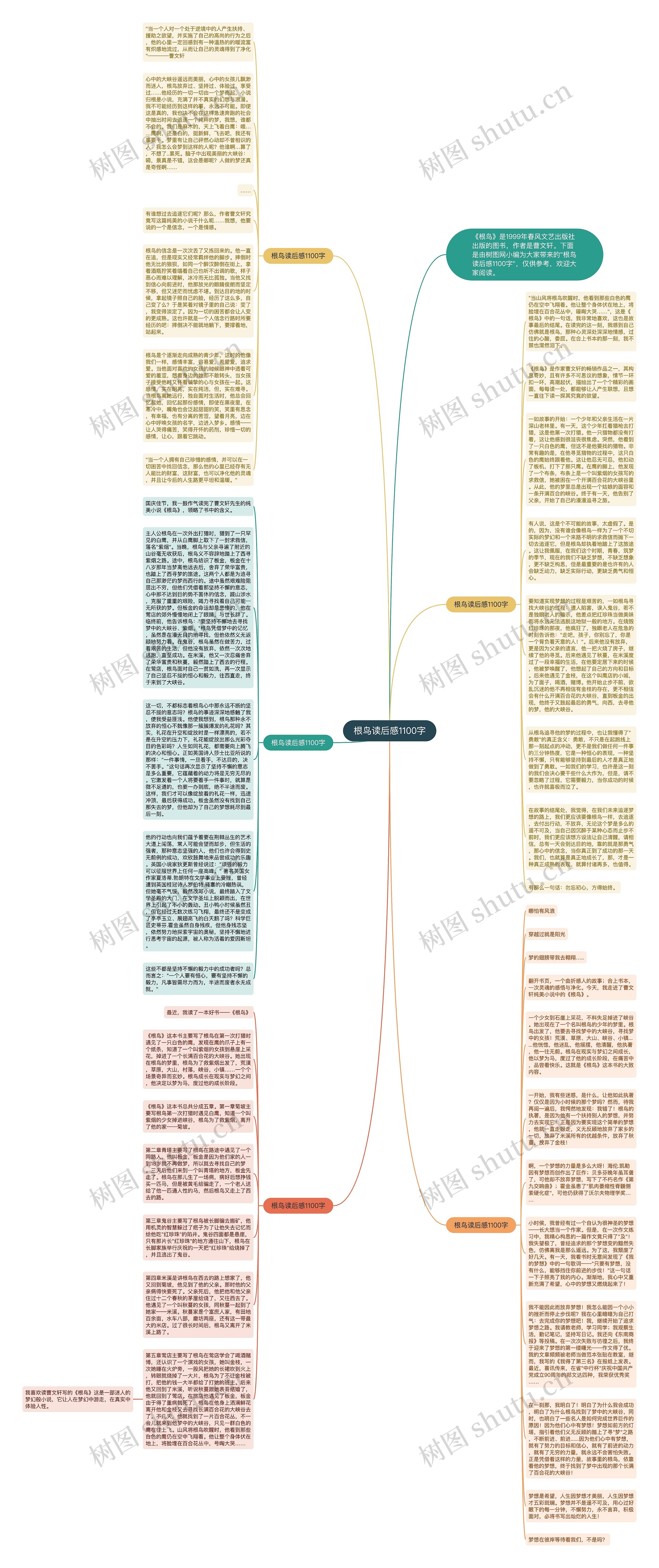 根鸟读后感1100字思维导图