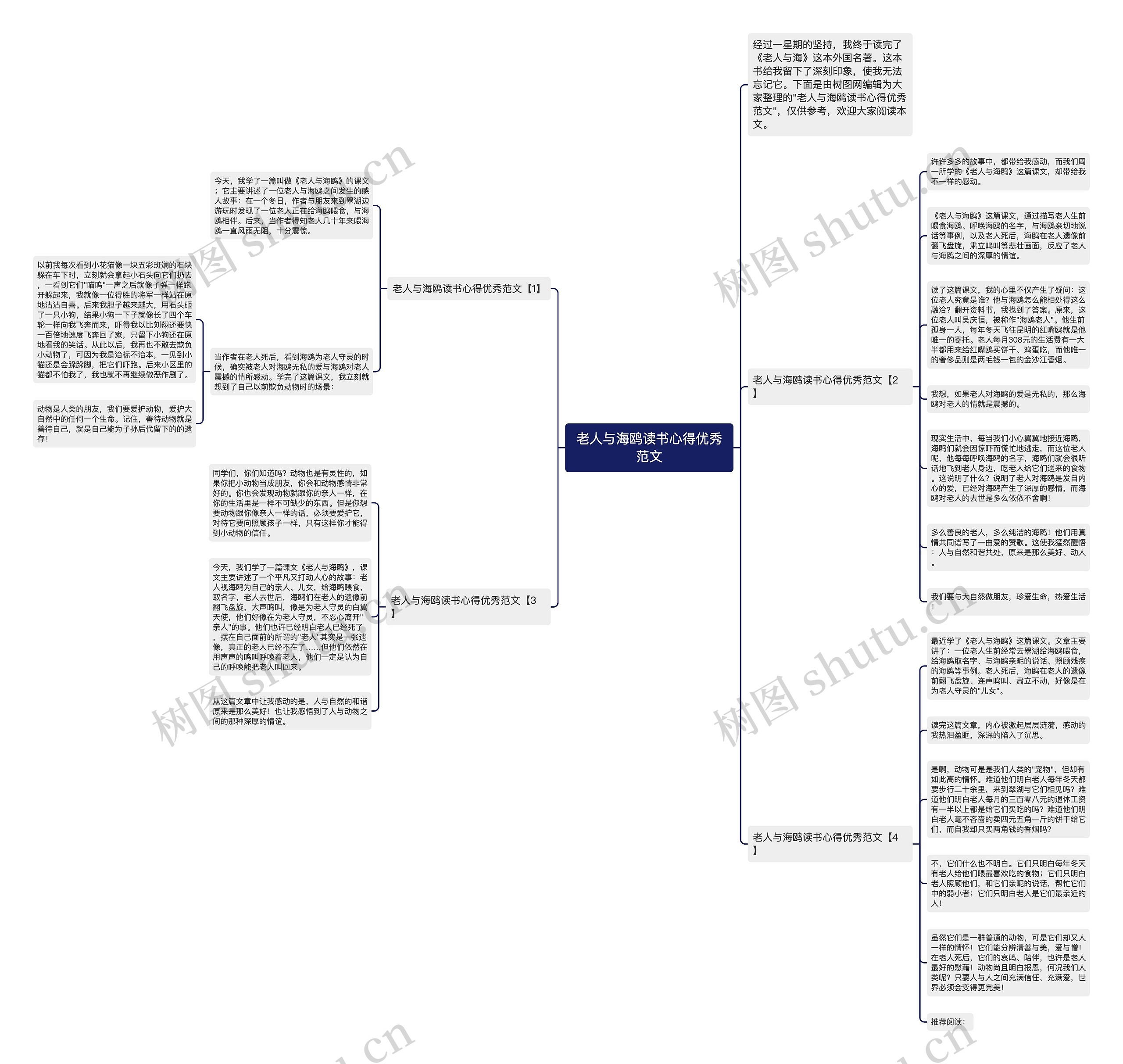 老人与海鸥读书心得优秀范文思维导图