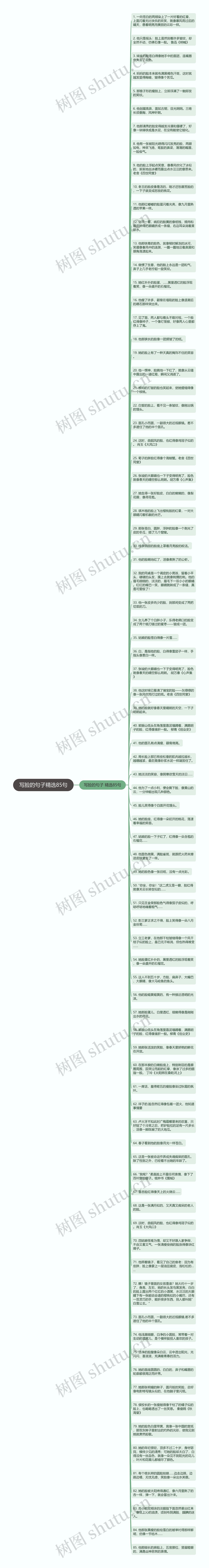 写脸的句子精选85句