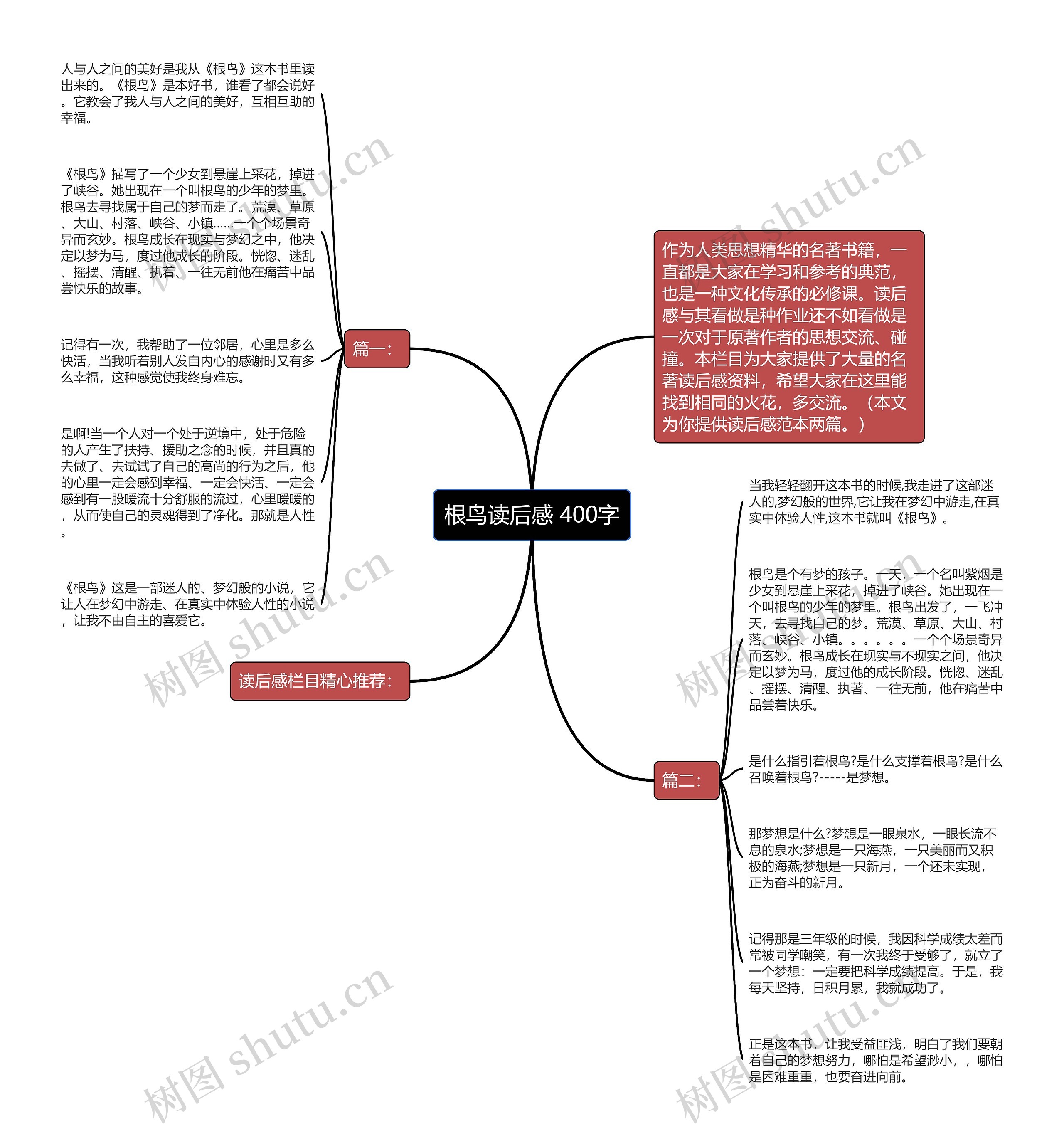 根鸟读后感 400字