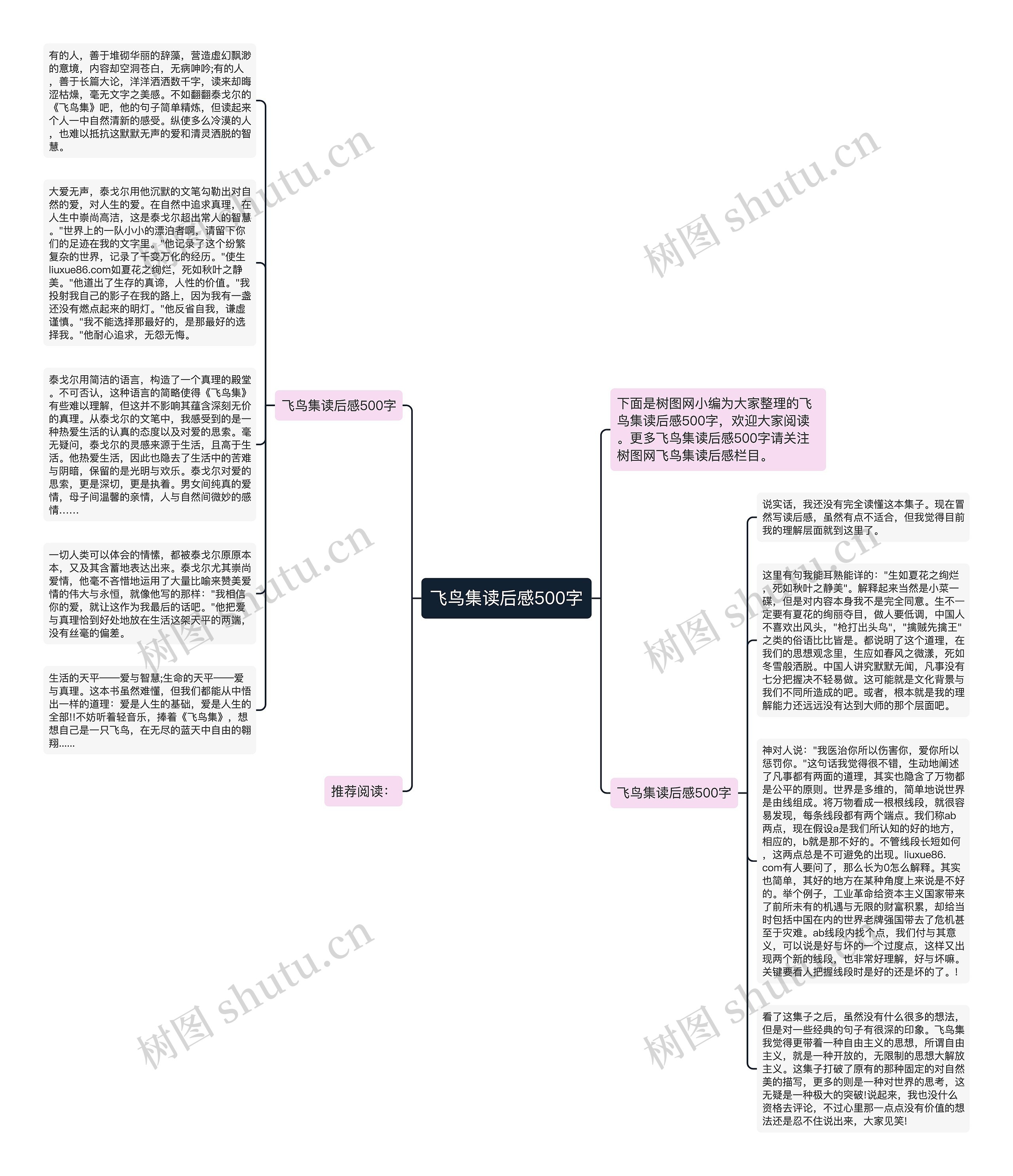 飞鸟集读后感500字思维导图