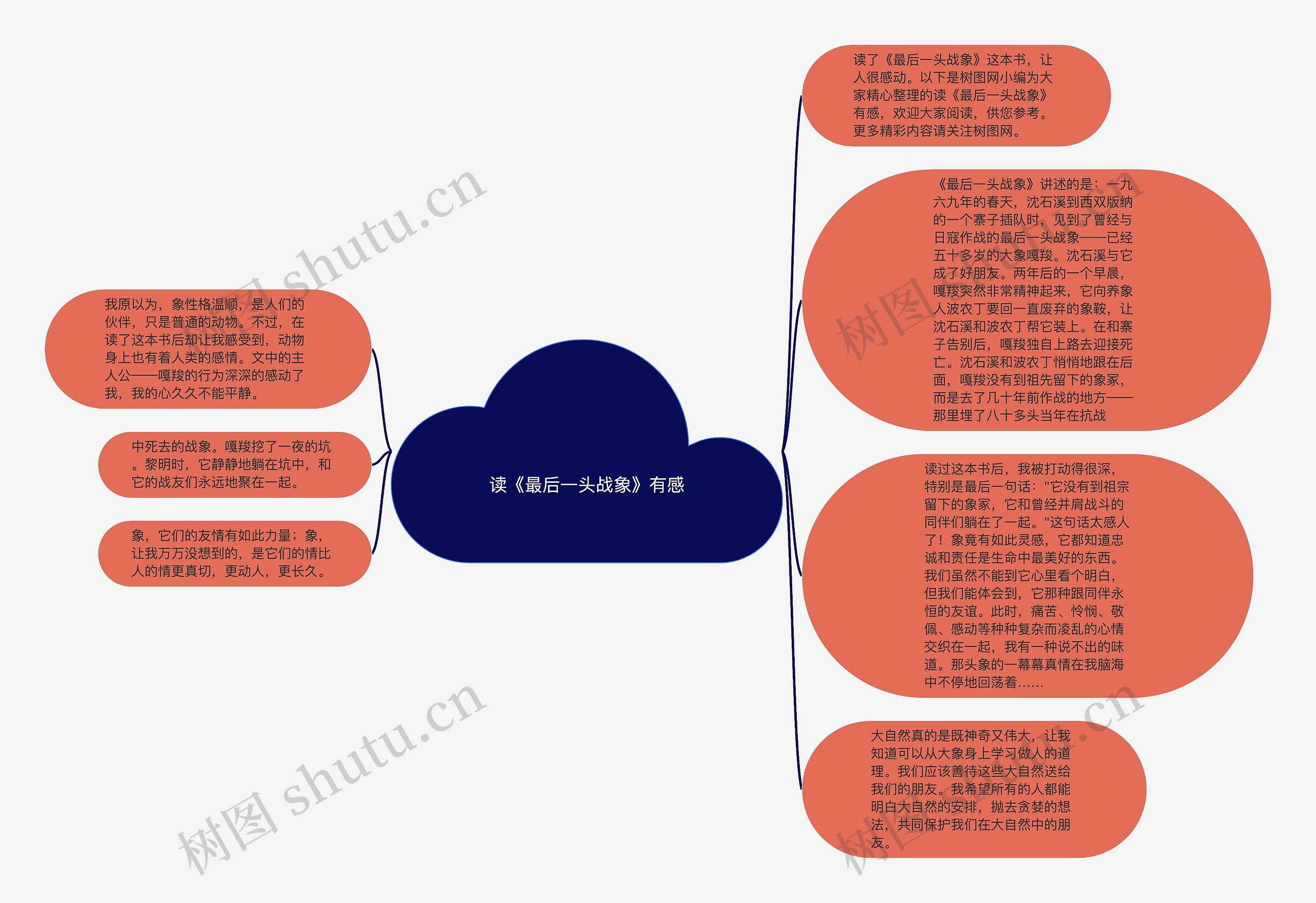 读《最后一头战象》有感