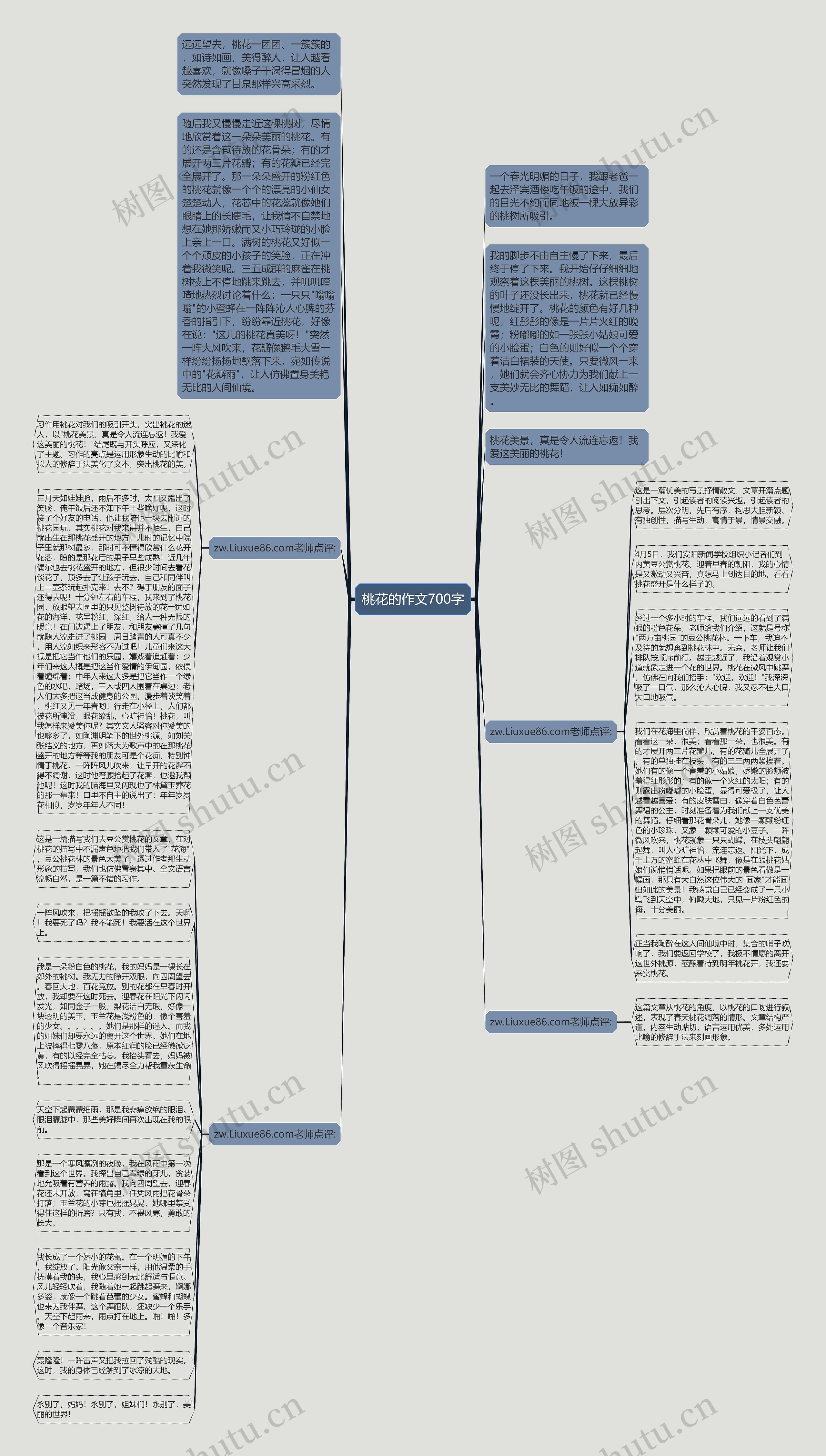 桃花的作文700字思维导图