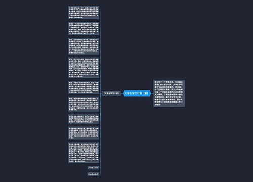 大学生学习计划【新】