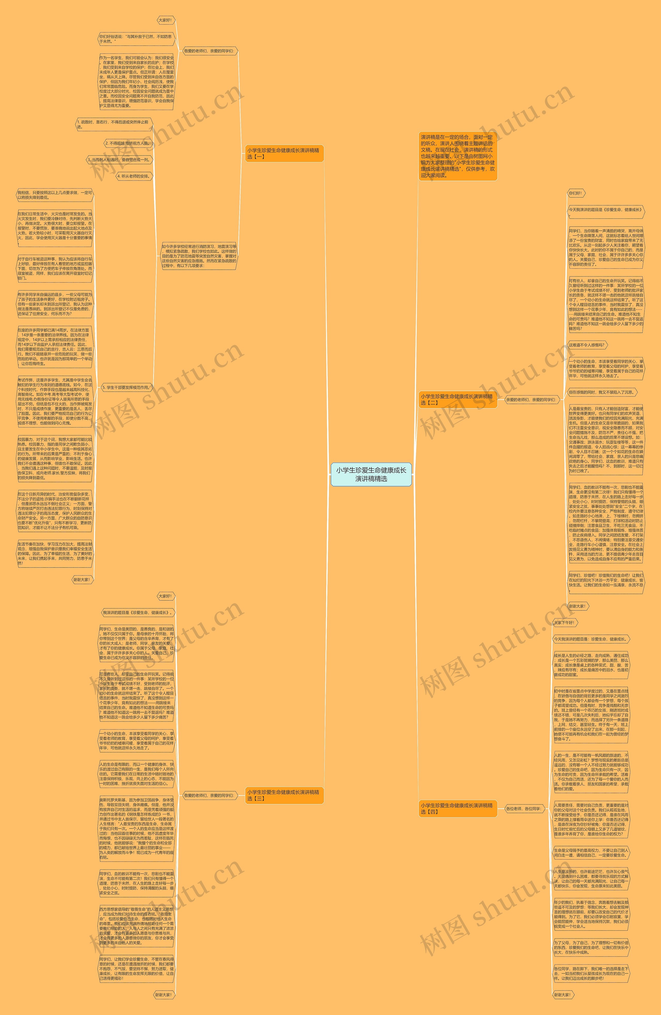 小学生珍爱生命健康成长演讲稿精选思维导图