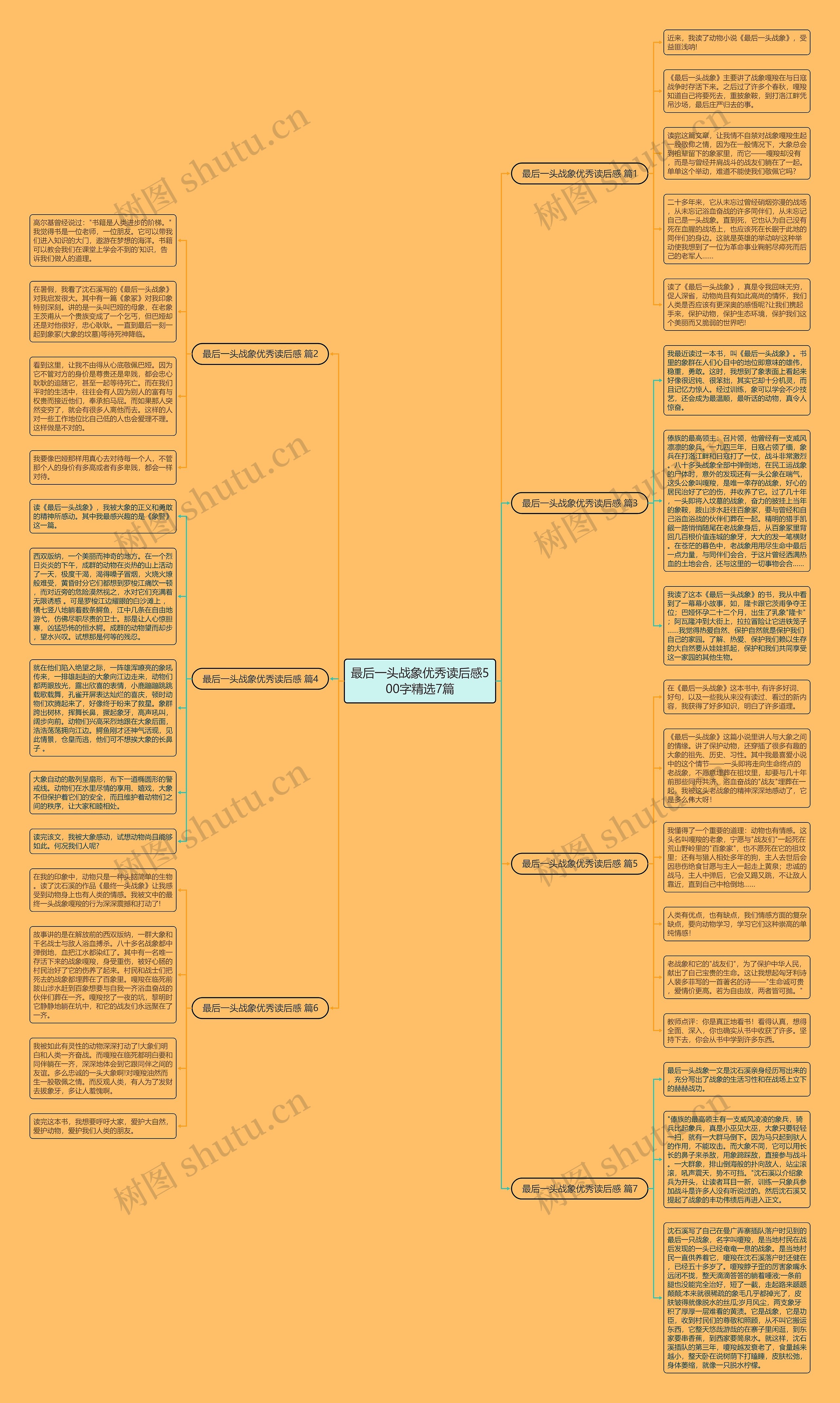 最后一头战象优秀读后感500字精选7篇思维导图