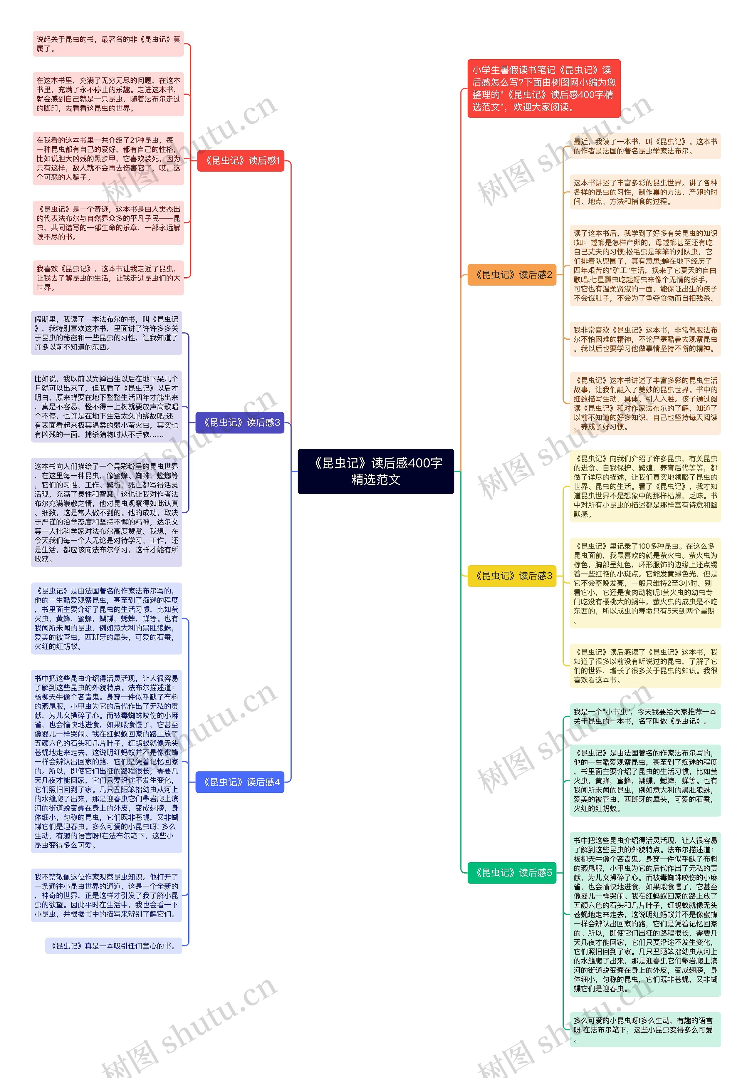 《昆虫记》读后感400字精选范文思维导图