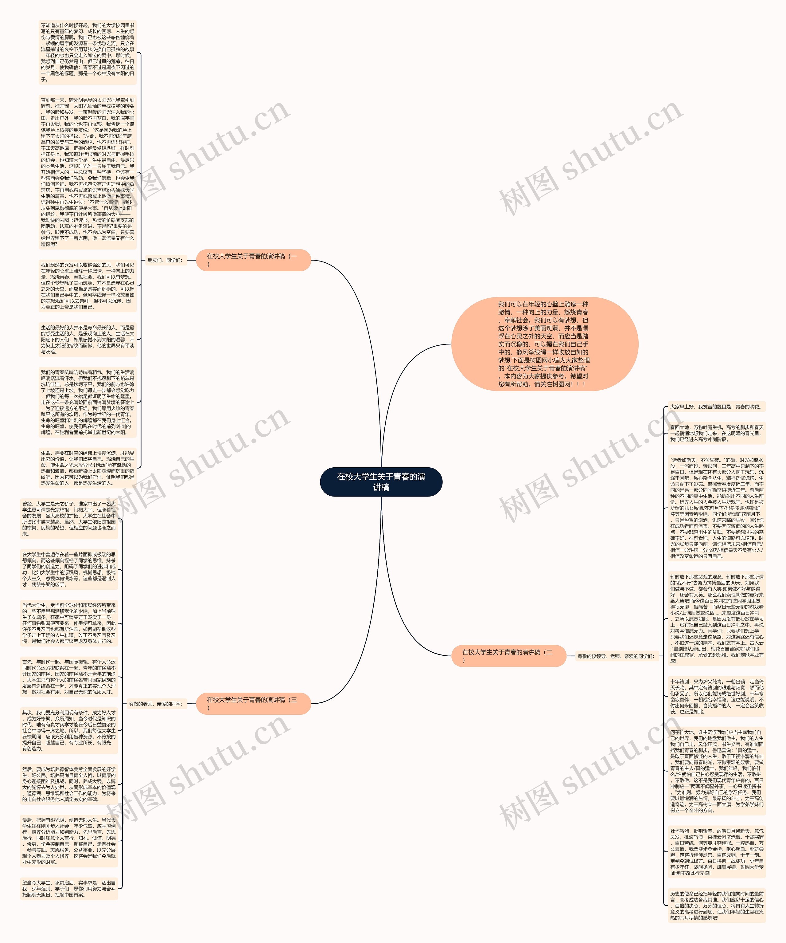在校大学生关于青春的演讲稿思维导图