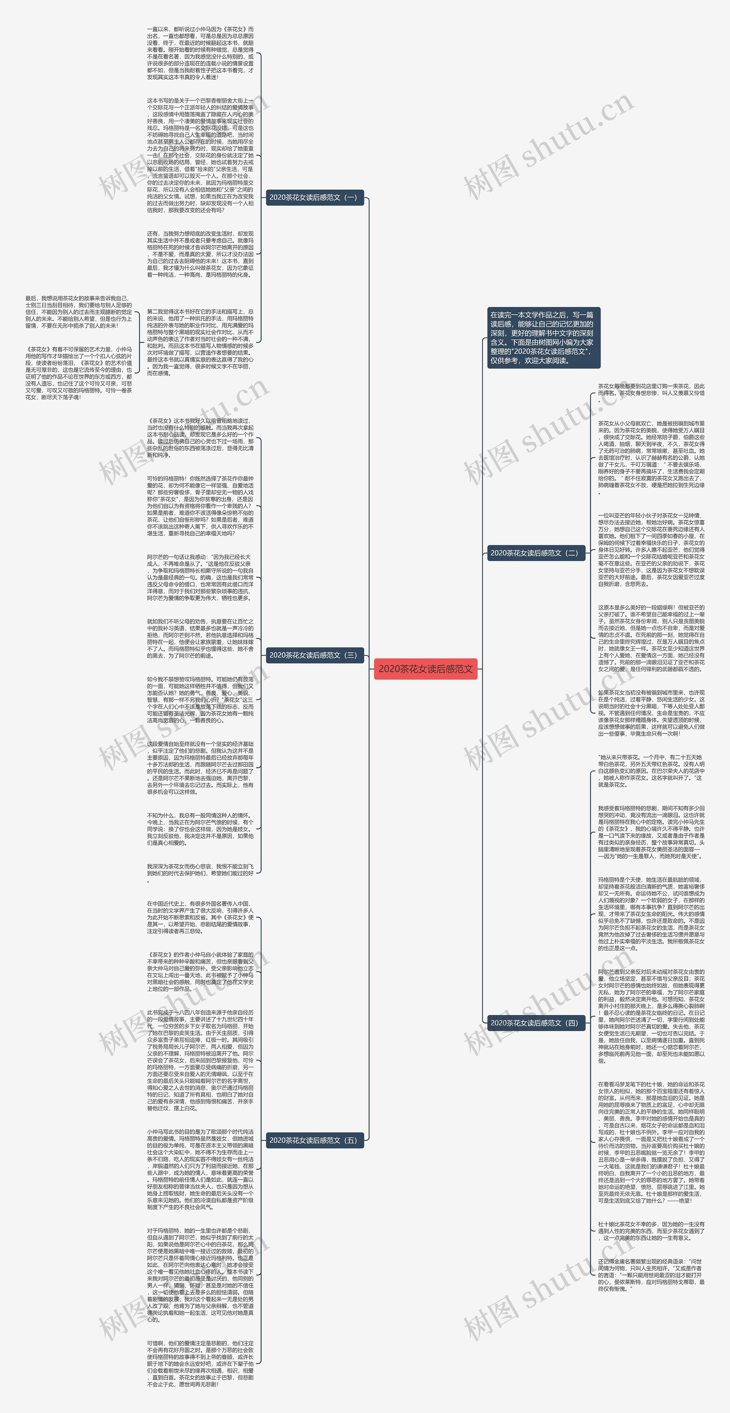 2020茶花女读后感范文思维导图