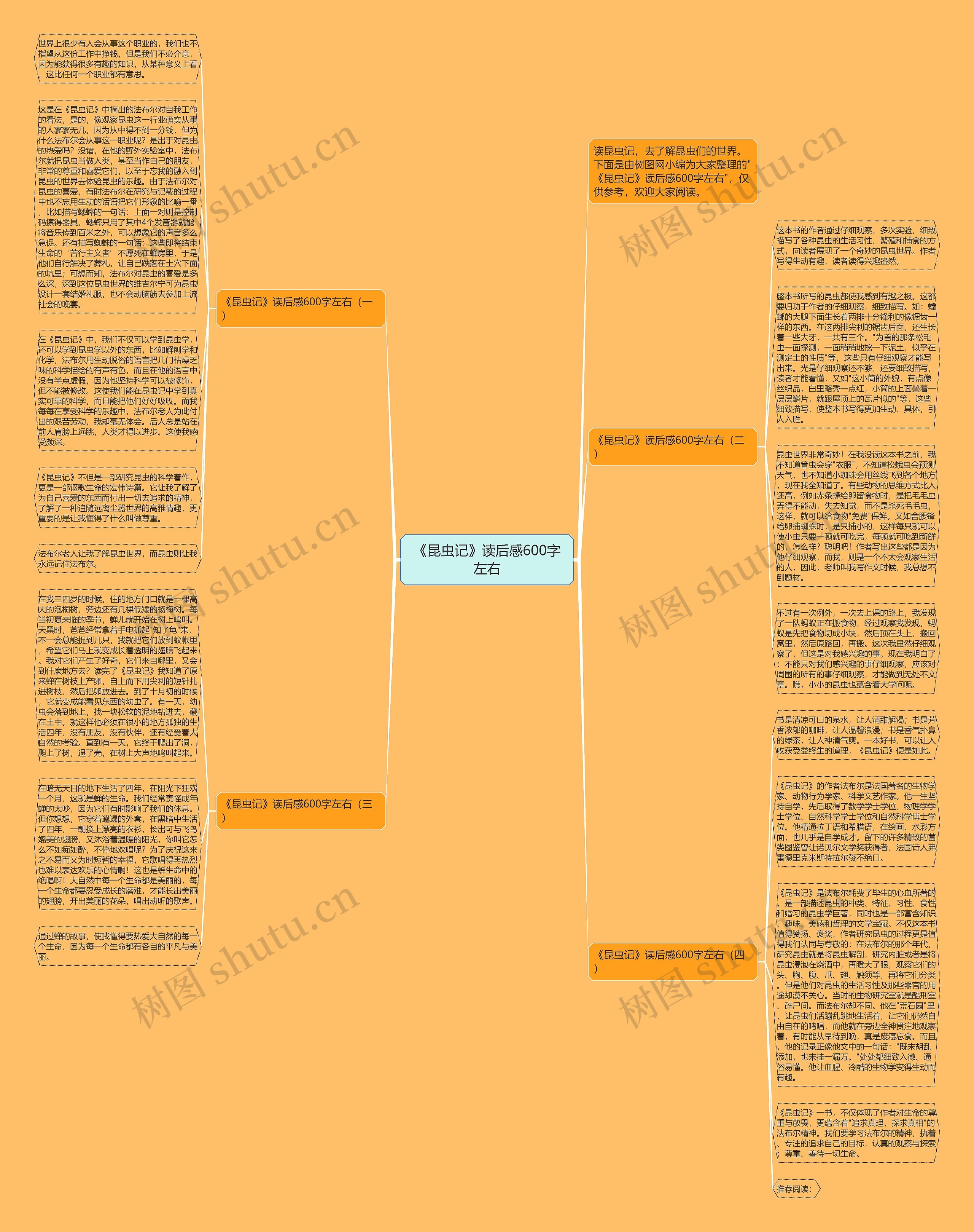 《昆虫记》读后感600字左右思维导图