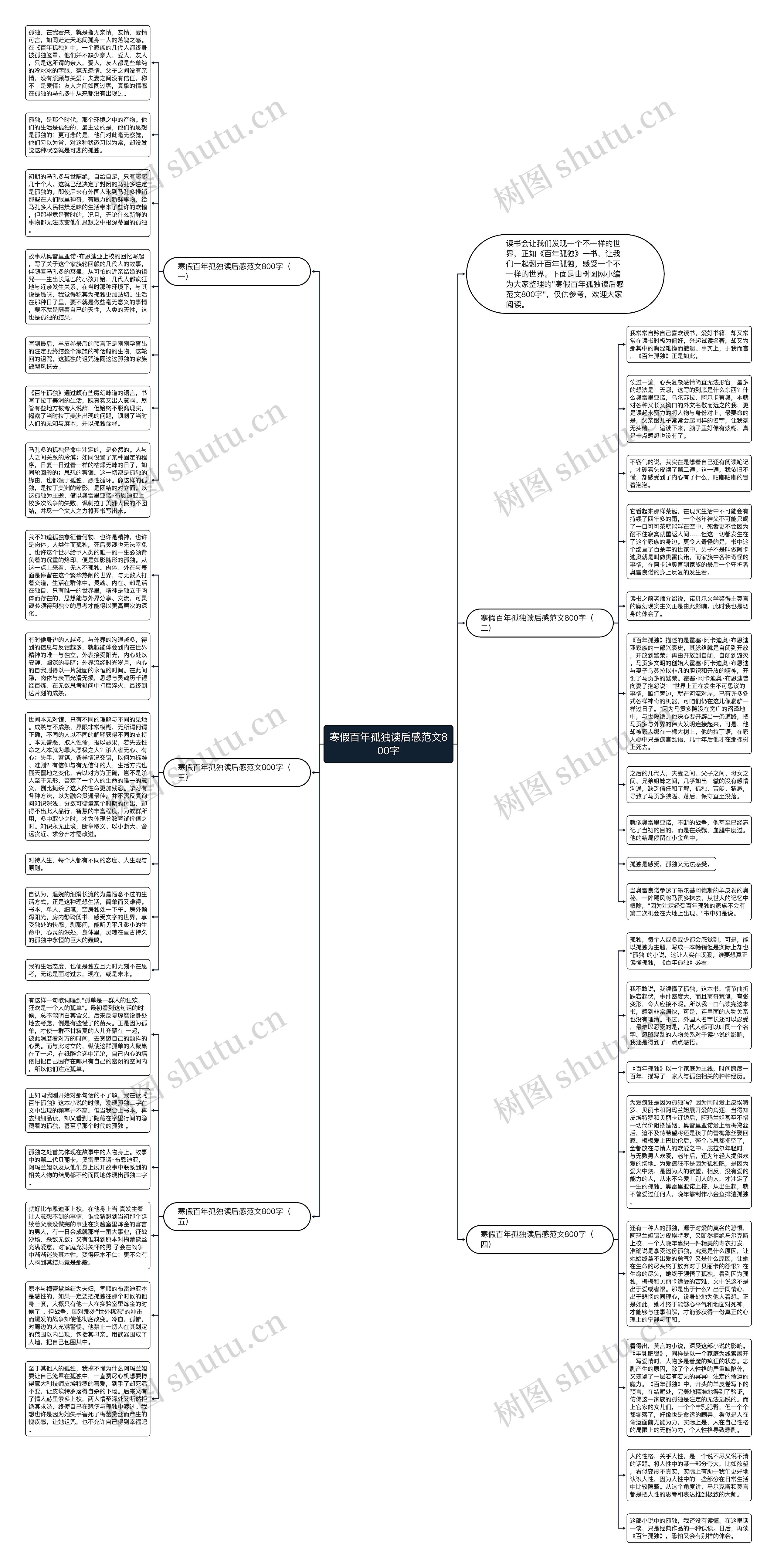 寒假百年孤独读后感范文800字思维导图