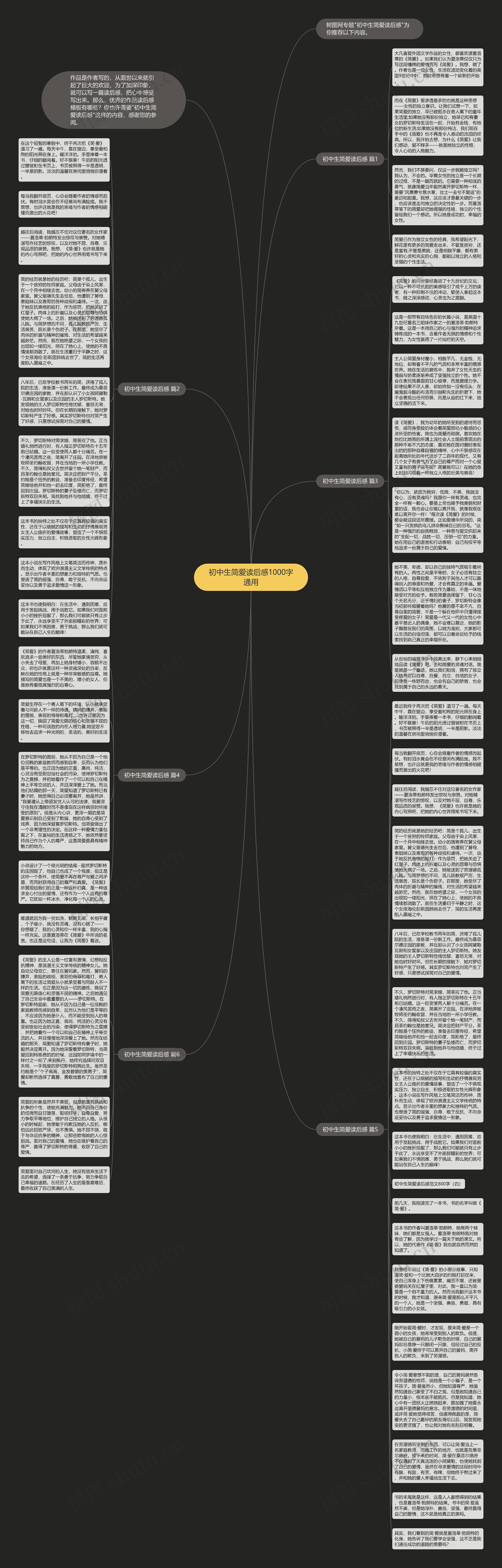 初中生简爱读后感1000字通用思维导图