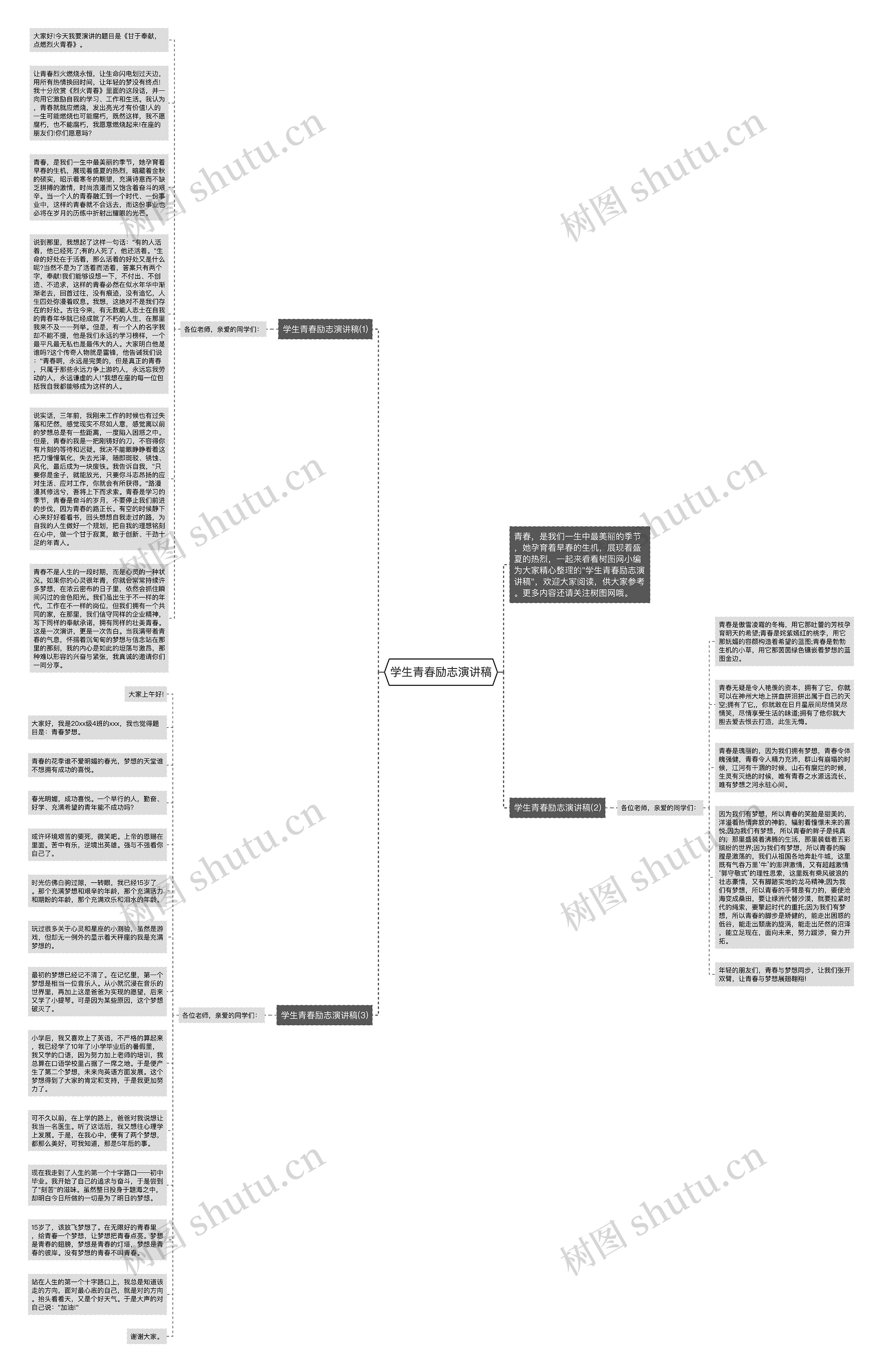 学生青春励志演讲稿思维导图