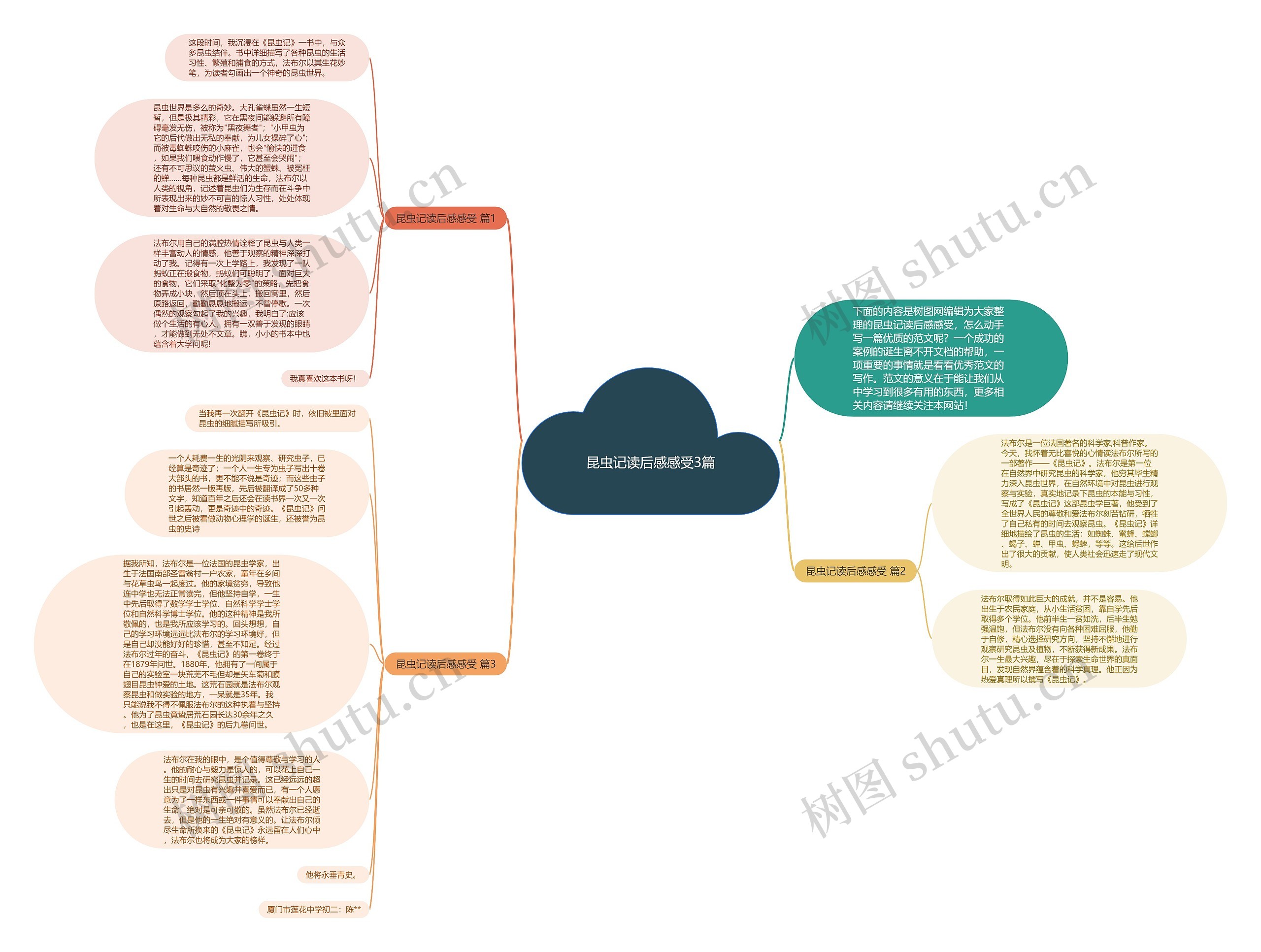 昆虫记读后感感受3篇思维导图