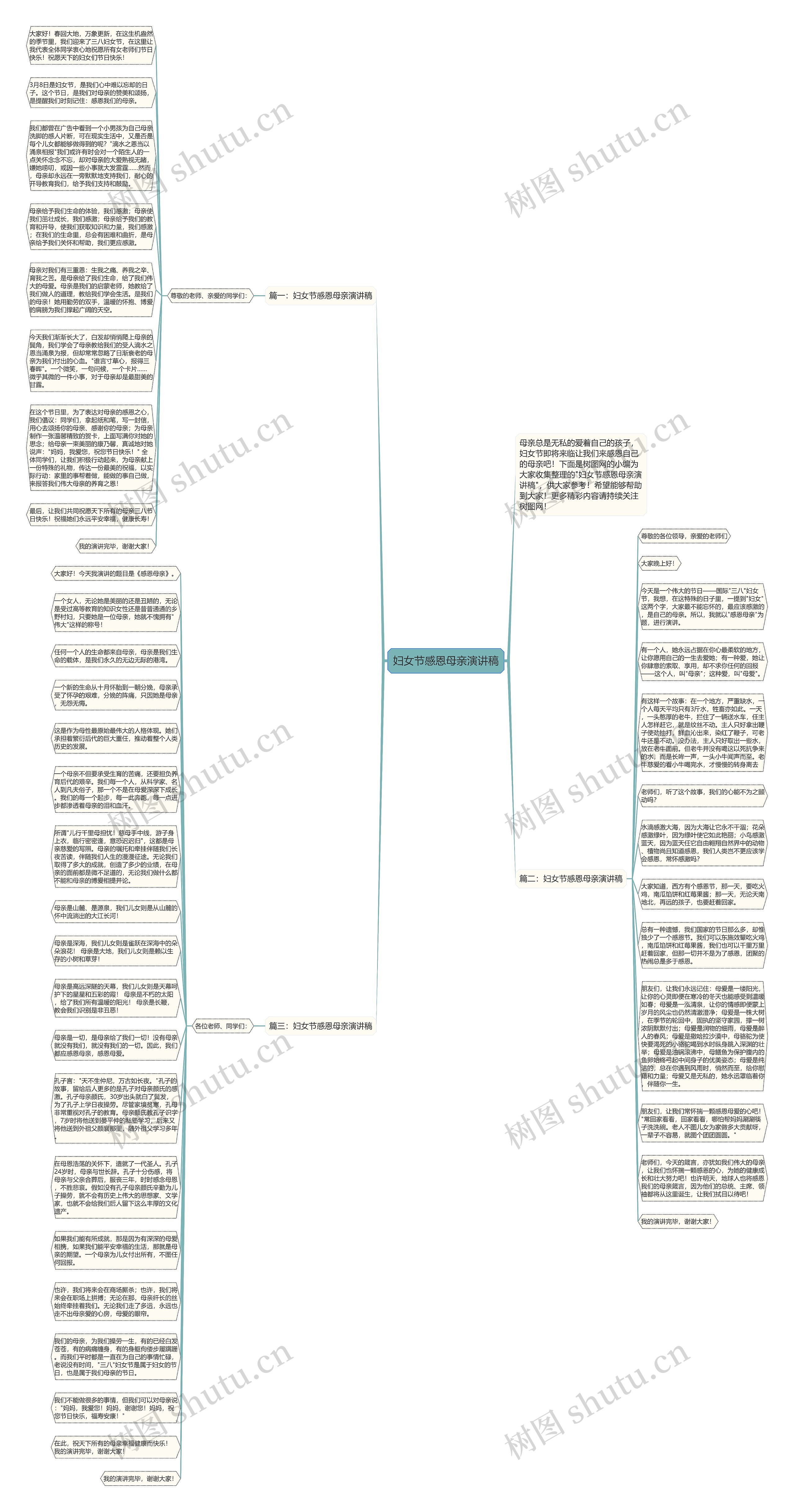 妇女节感恩母亲演讲稿思维导图