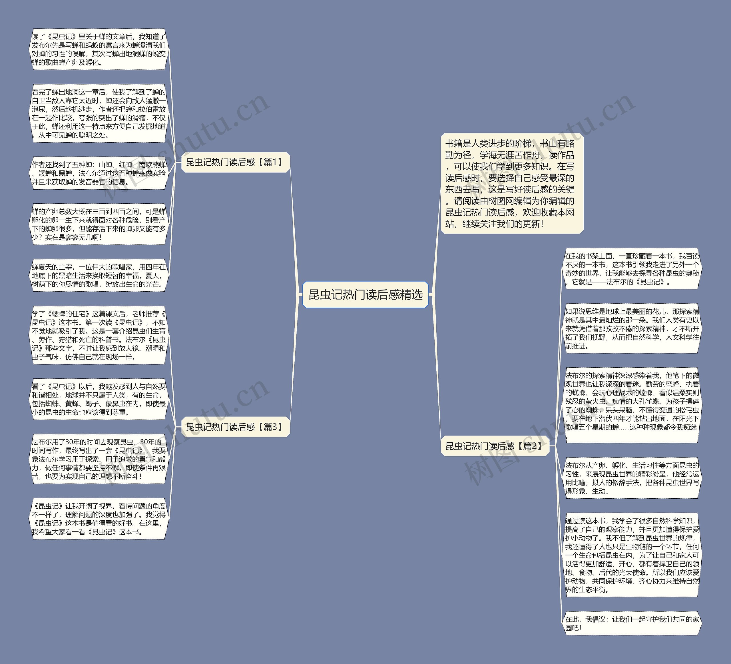昆虫记热门读后感精选思维导图